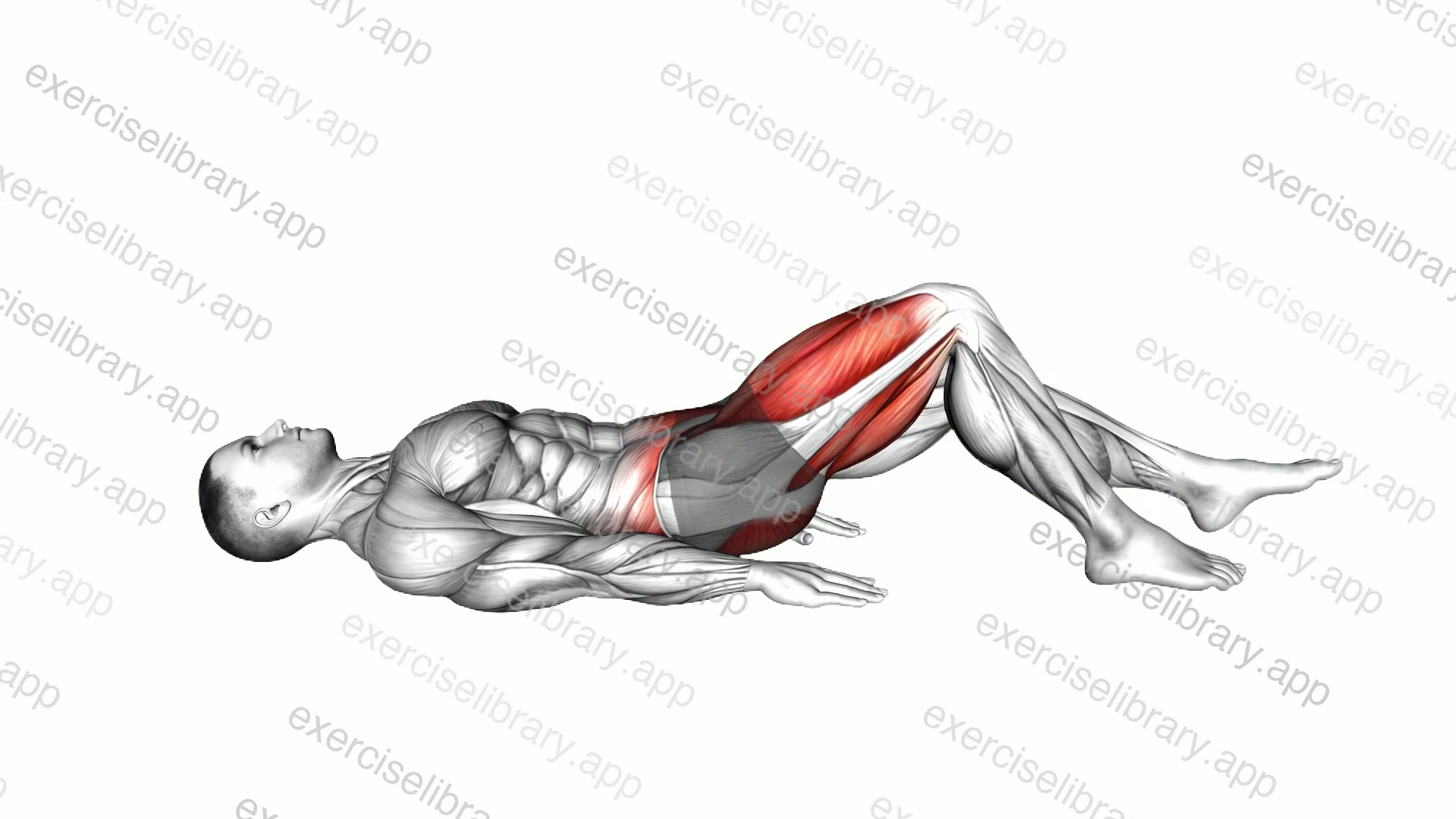 Single Leg Hamstring Bridge demonstration