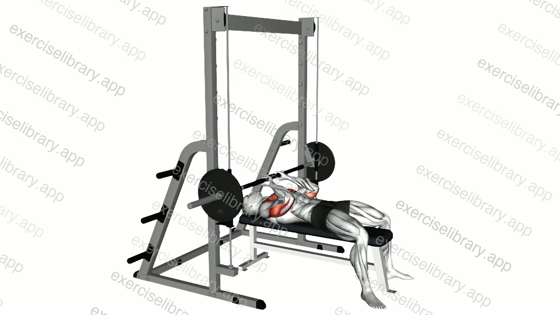 Smith JM Bench Press demonstration