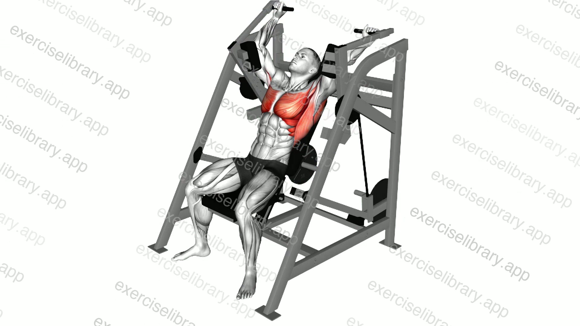 Lever Alternating Pullover demonstration