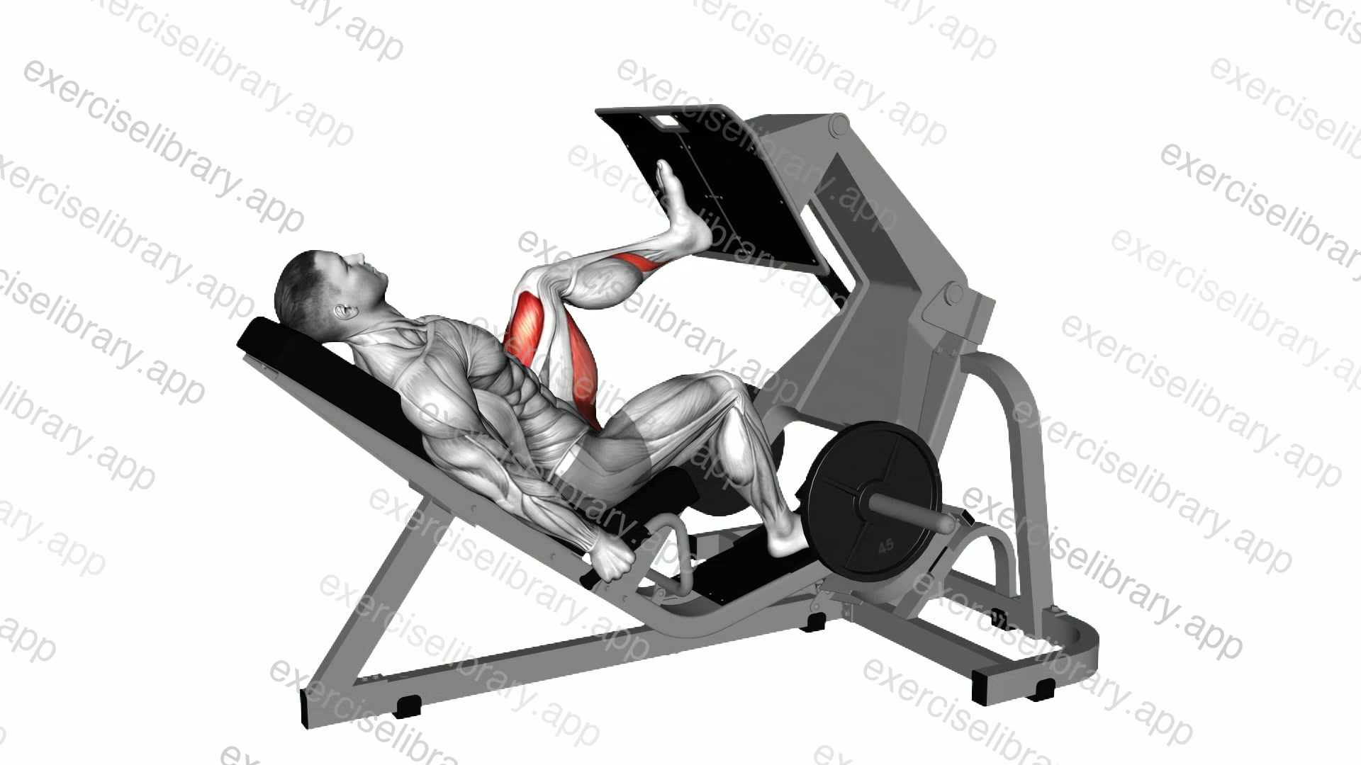 Lever Angled Single Leg Press demonstration