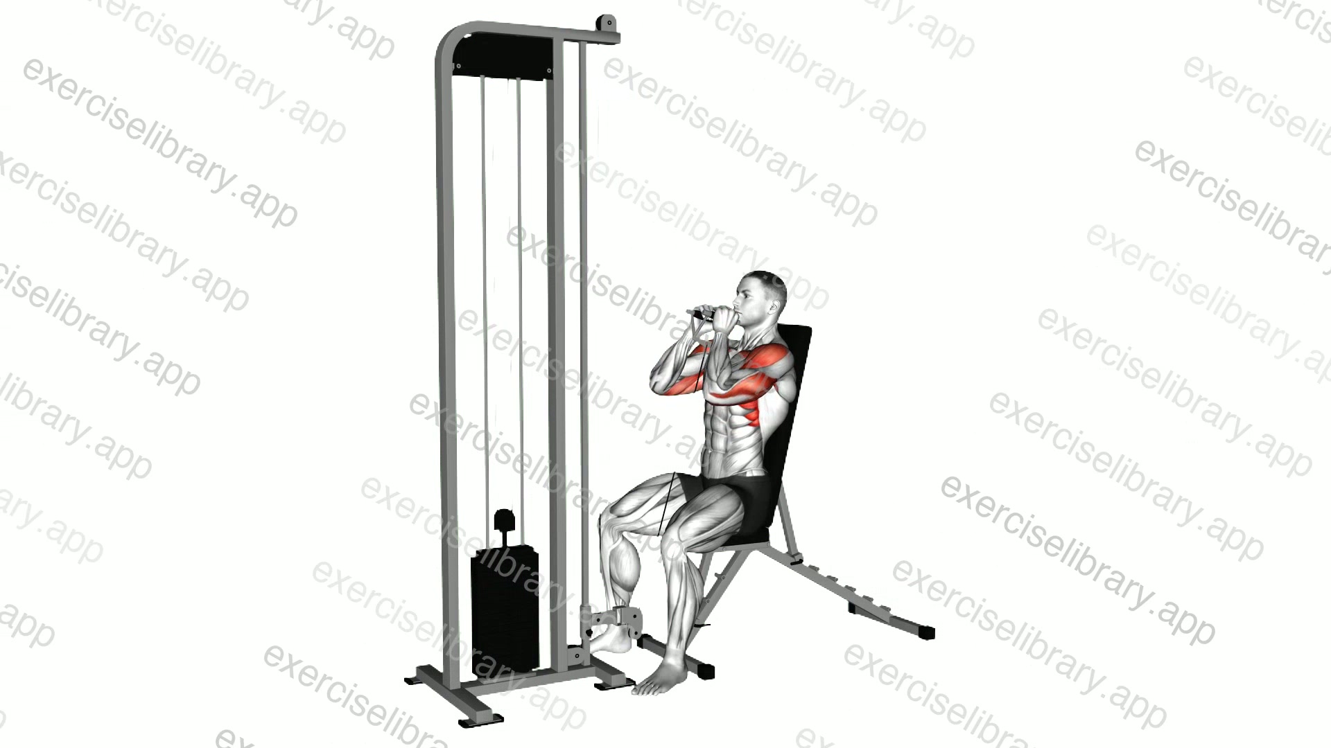 Cable Seated Front Press demonstration
