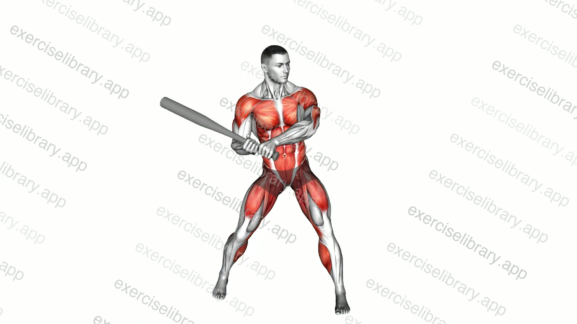 Baseball Hit demonstration