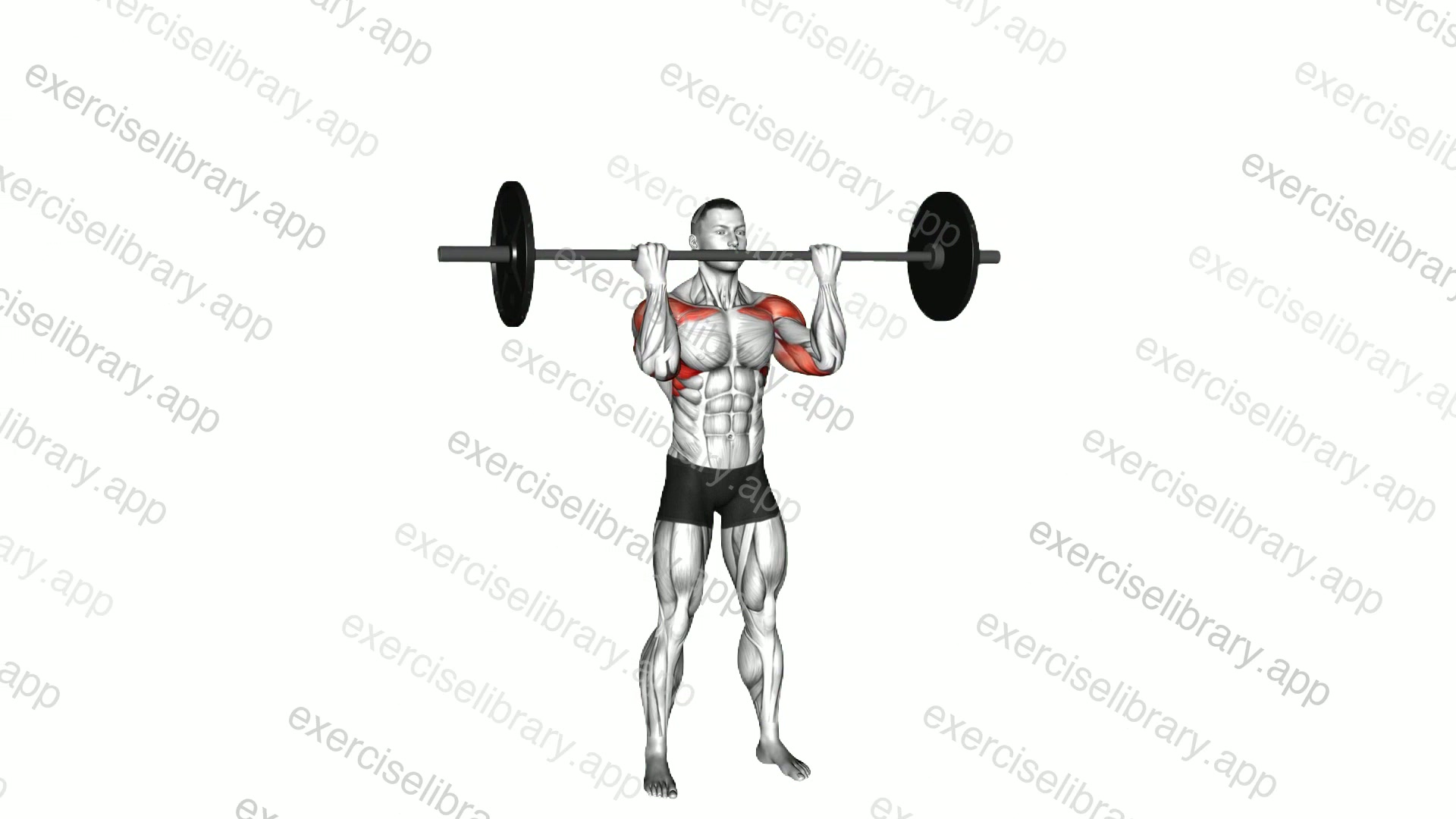 Barbell Reverse Grip Overhead Press demonstration