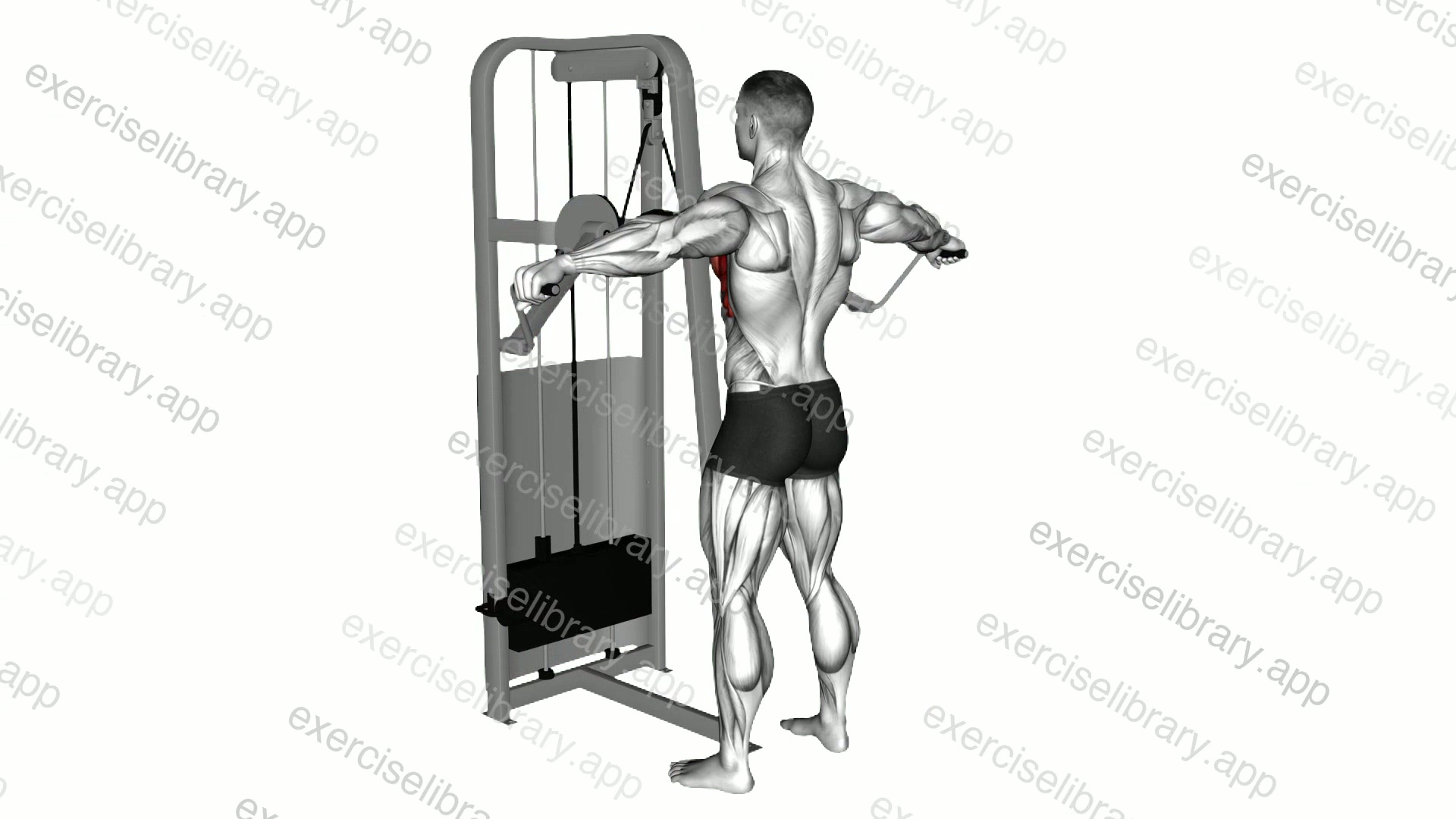 Lever Standing Pec Fly demonstration