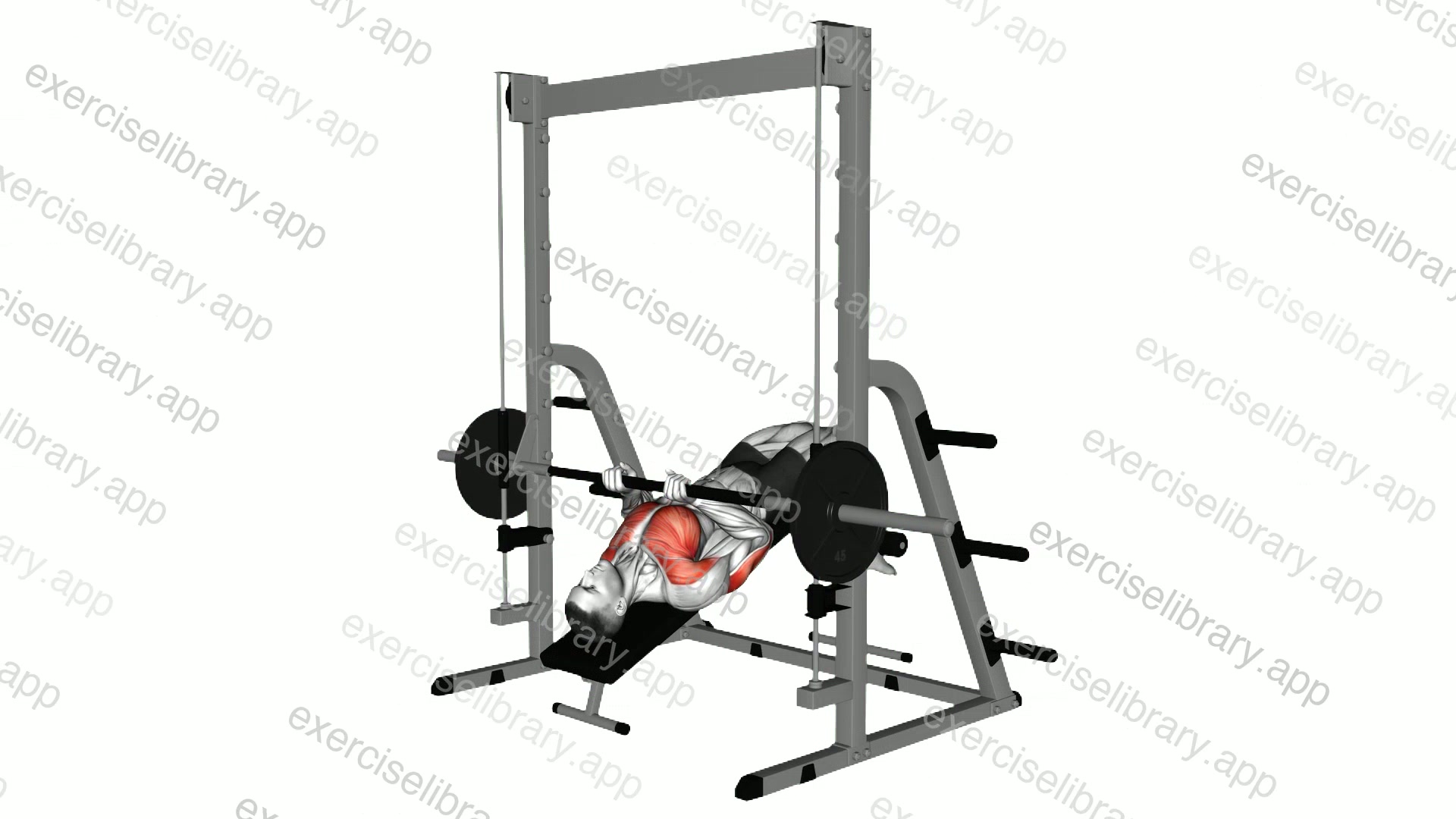 Smith Decline Close Grip Bench Press demonstration