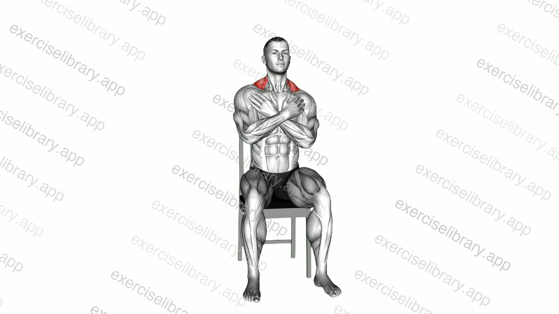 Bodyweight Sitting Alternating Shrug demonstration