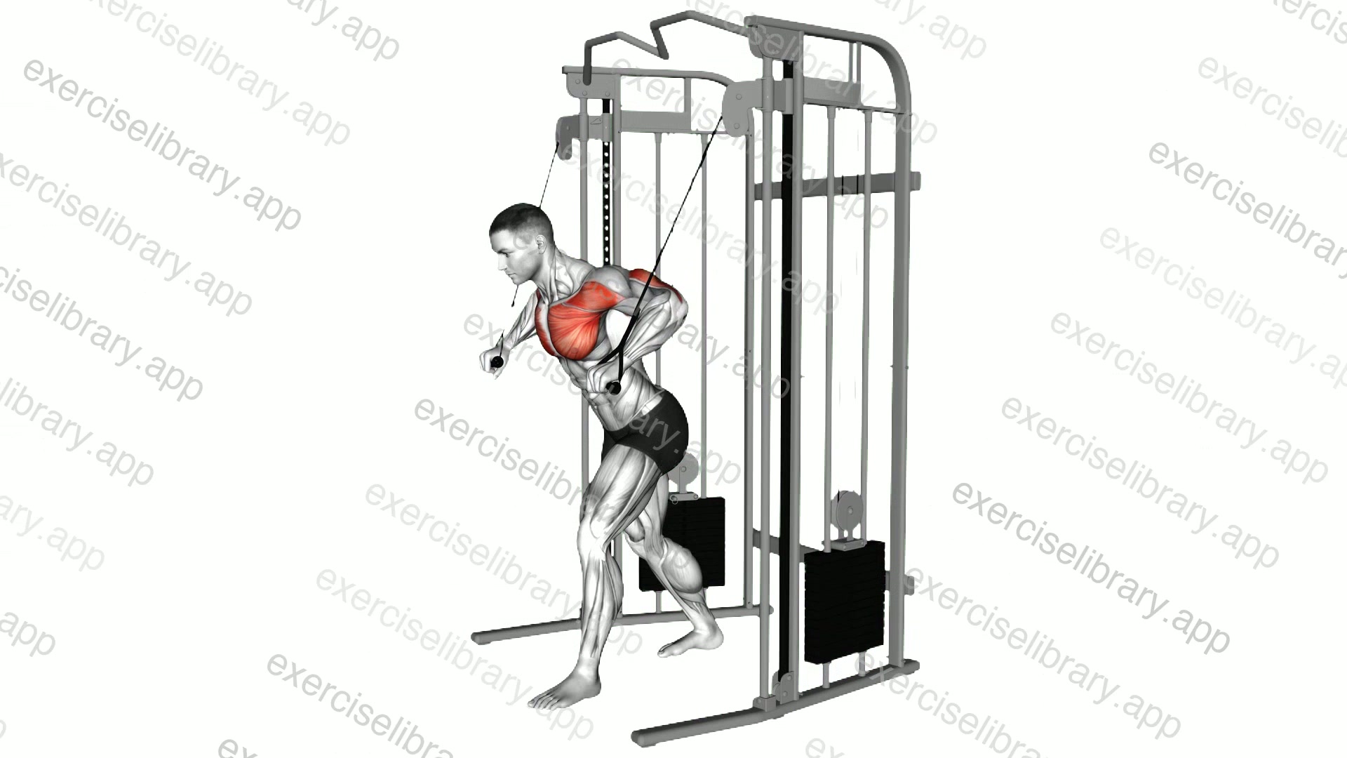 Cable Low Chest Press demonstration