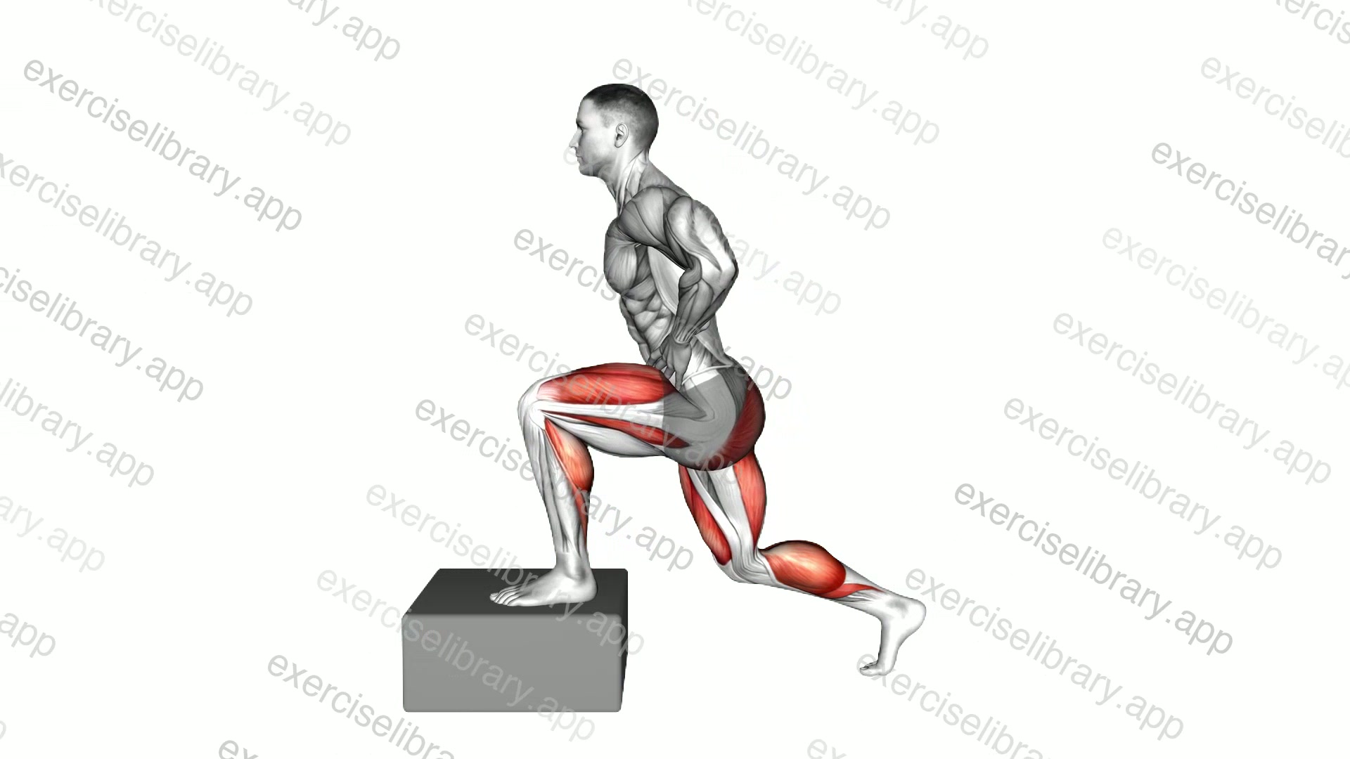 Elevanted Deep Lunge Dorsi Flexion demonstration