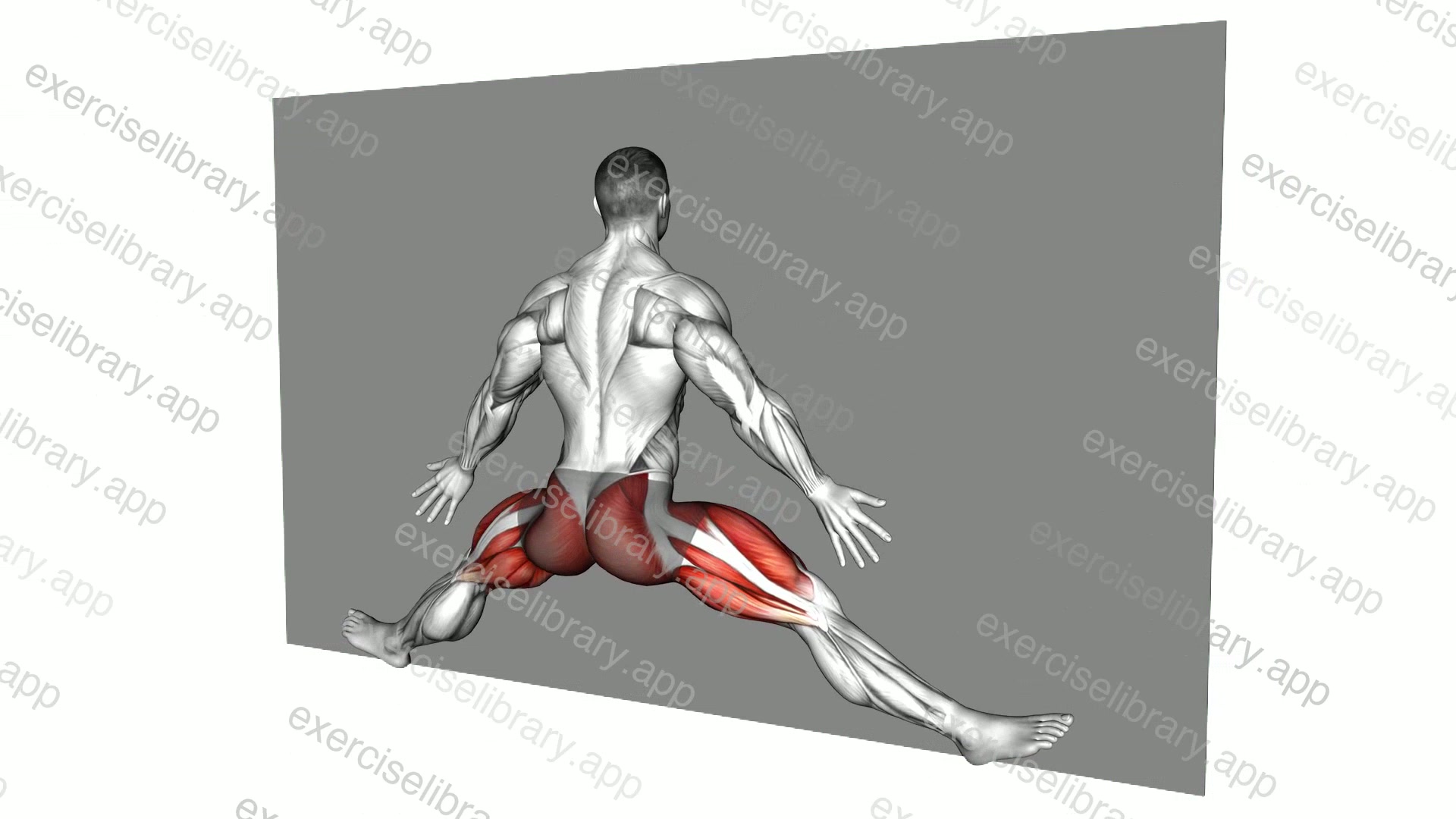 Chest to Wall Middle Split demonstration