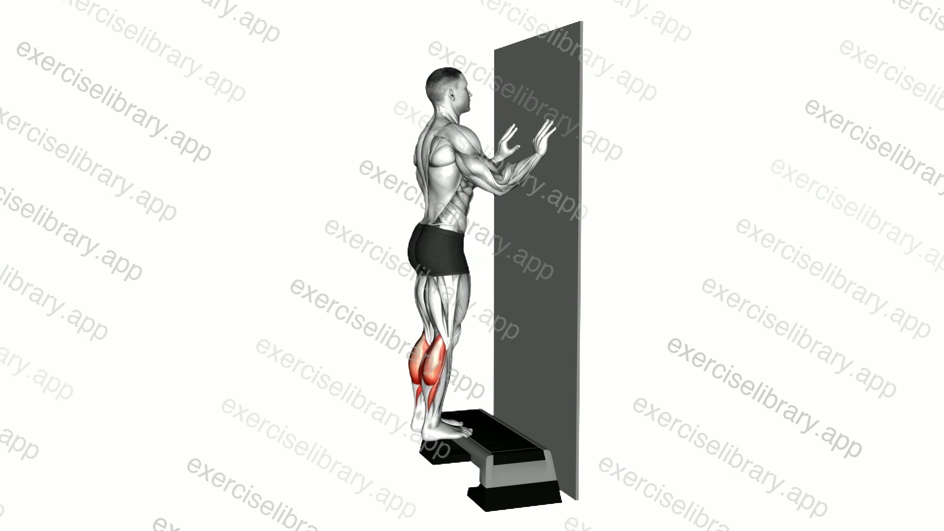 Standing Calf Stretch with Wall Supported demonstration
