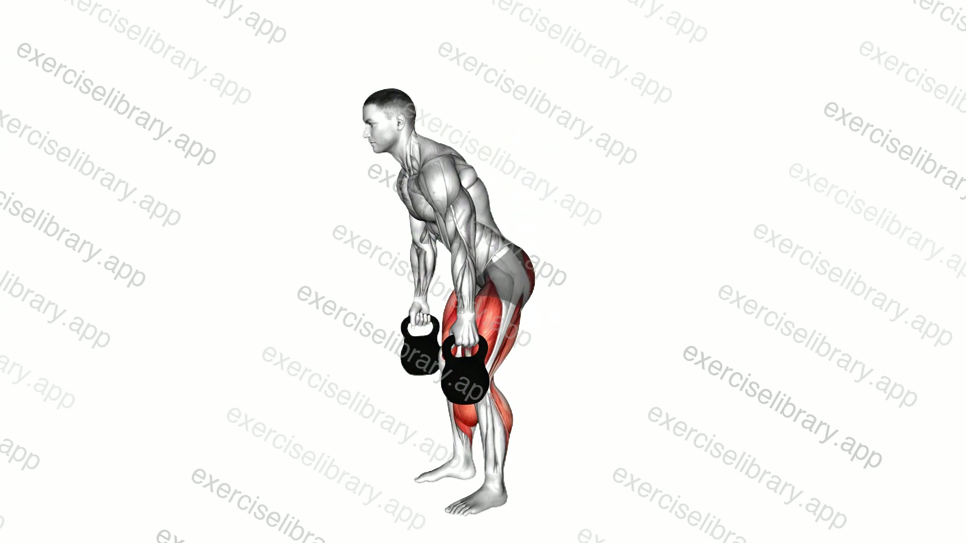 Kettlebell Romanian Deadlift to Squat demonstration