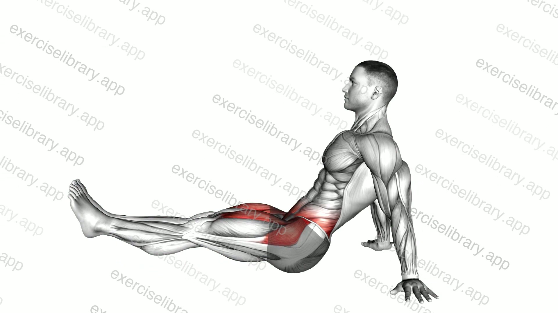 Siting Floor Leg Raise demonstration