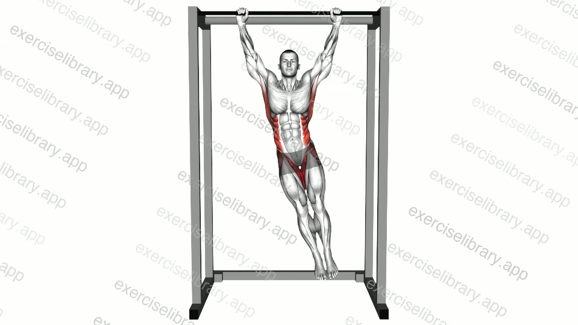 Hanging Side Lean demonstration