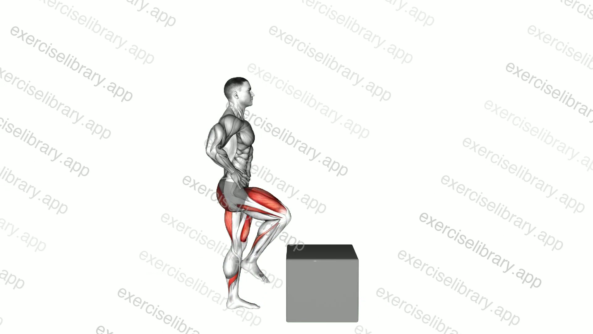 Step-up on Box demonstration