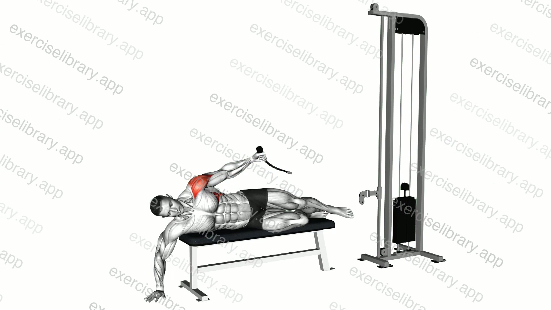 Cable Side Lying Single Arm Lateral Raise demonstration