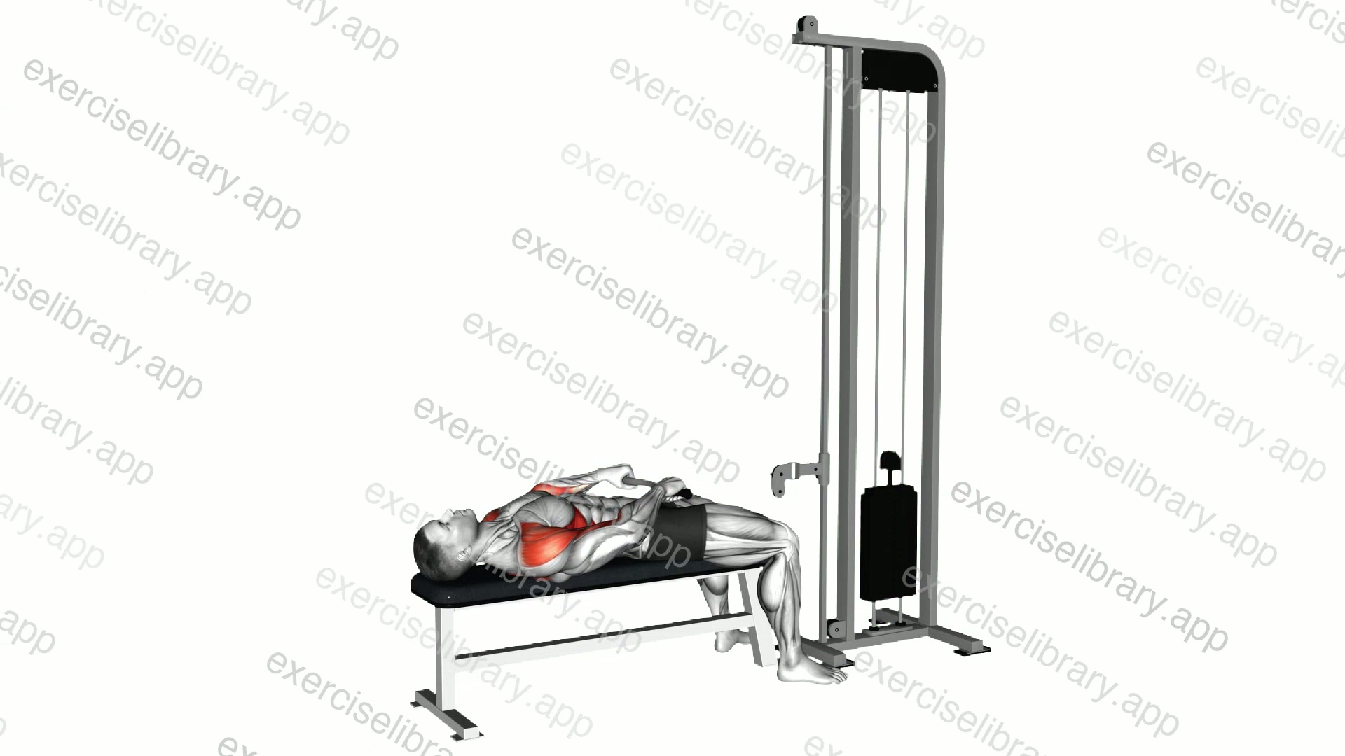 Cable Lying Upright Row demonstration