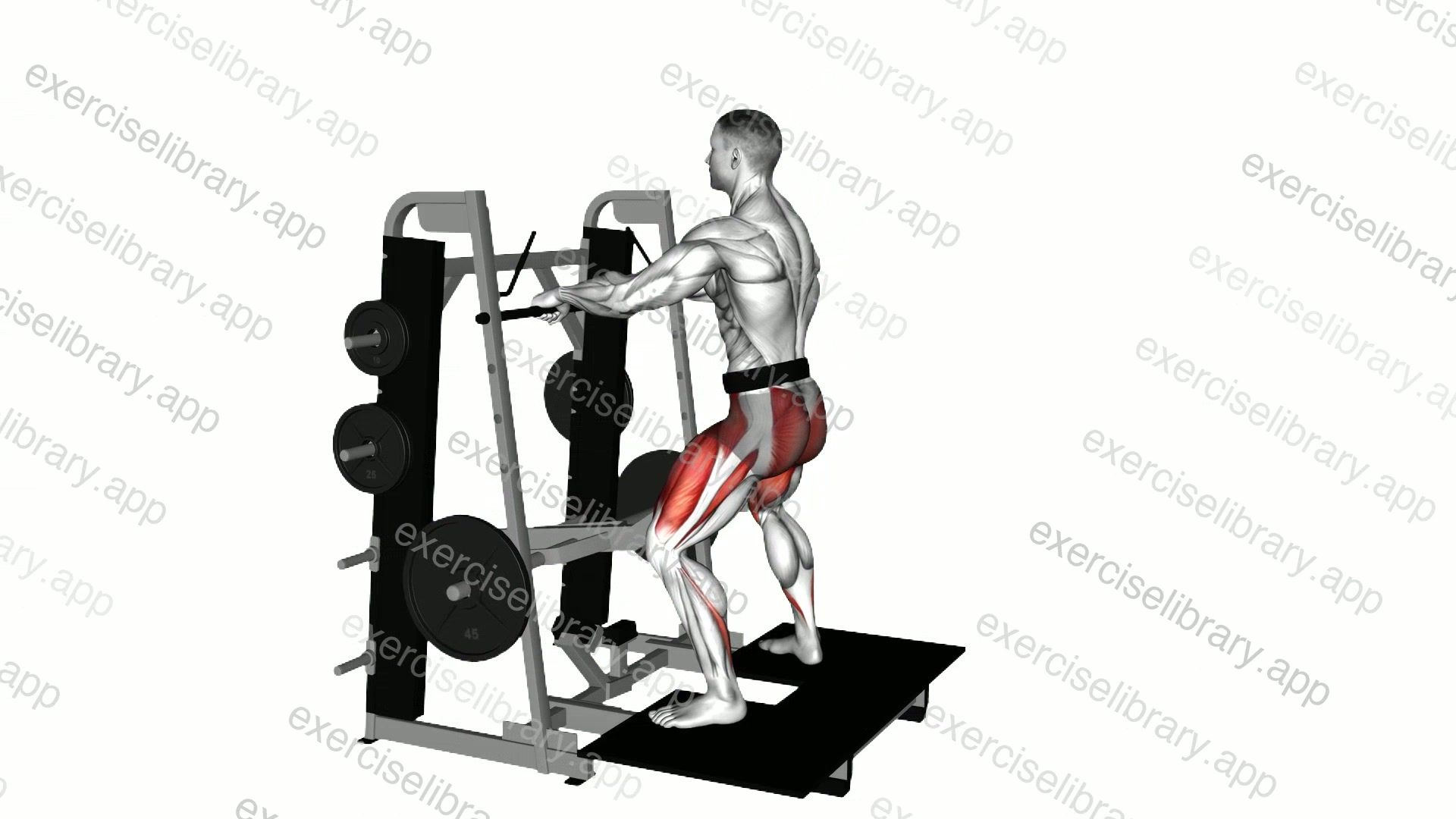 Lever Belt Sumo Squat demonstration