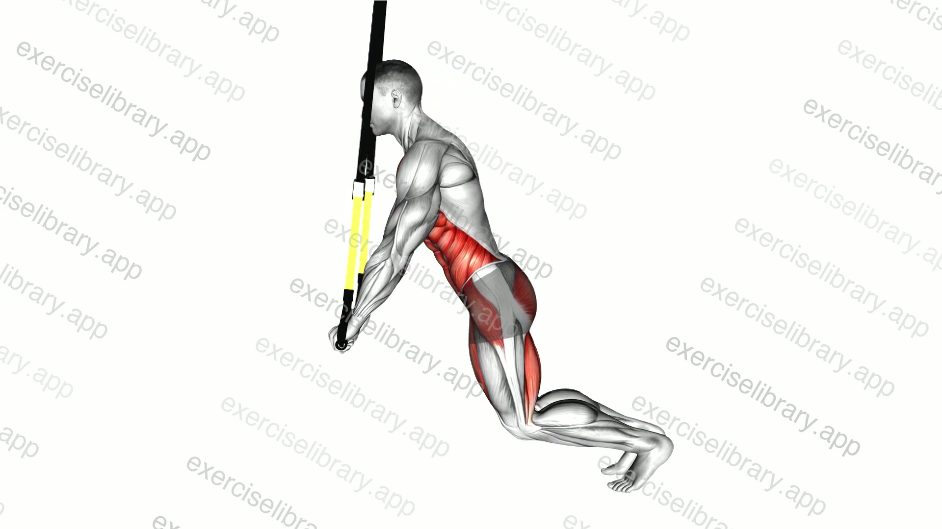 Suspender Incline Plank demonstration