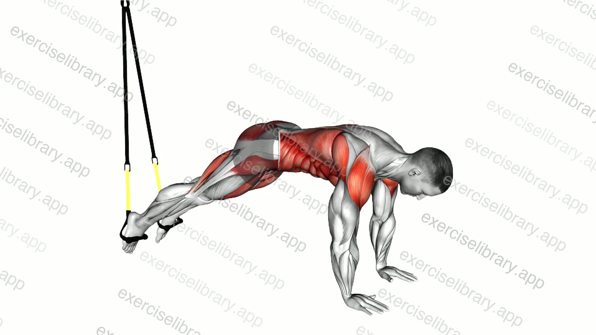 Suspender Pike demonstration