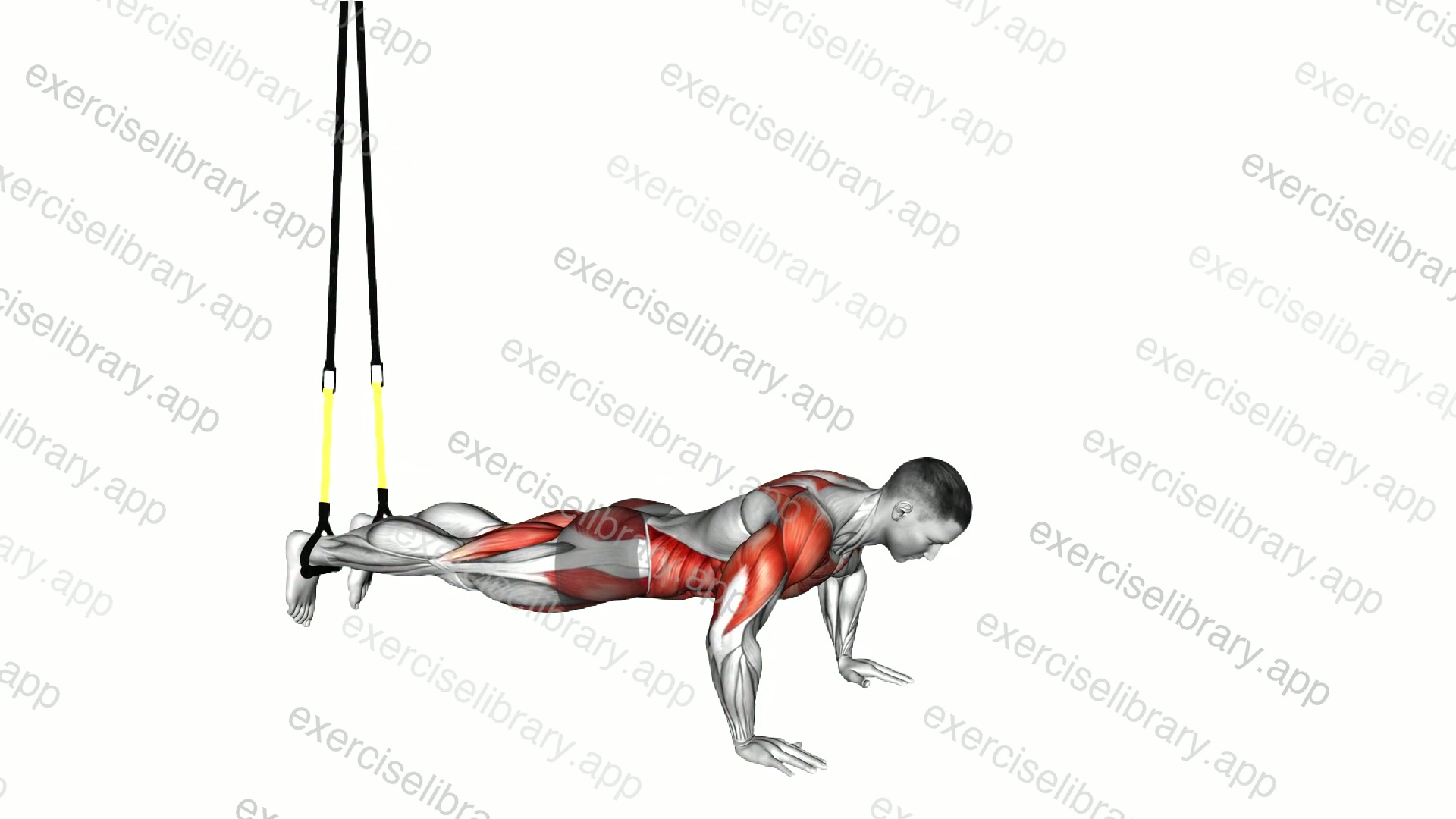 Suspender Push-up to Side Plank demonstration