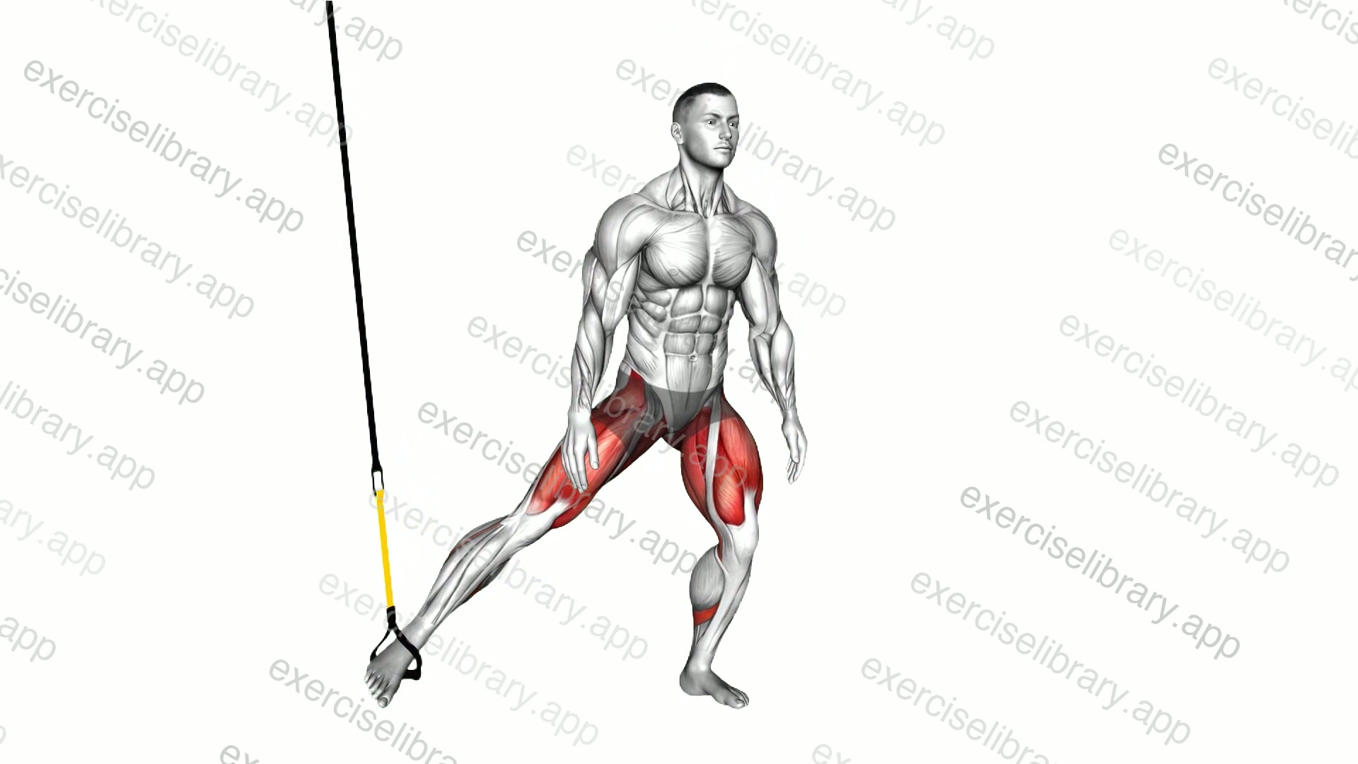 Suspender Side Squat demonstration