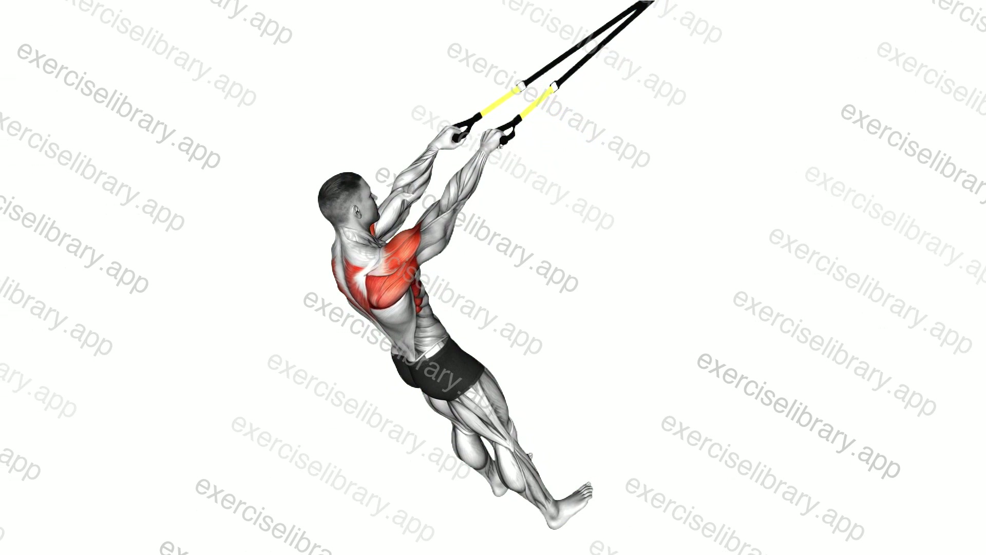 Suspender Y Raise demonstration