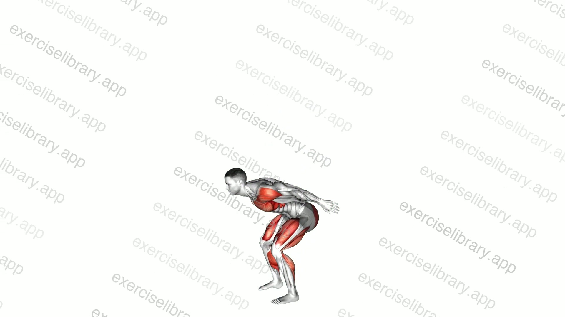 Countermovement Jump Arms Pull demonstration
