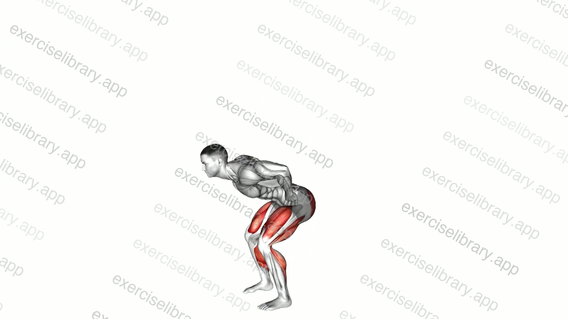 Countermovement Jump Arms on Hip demonstration