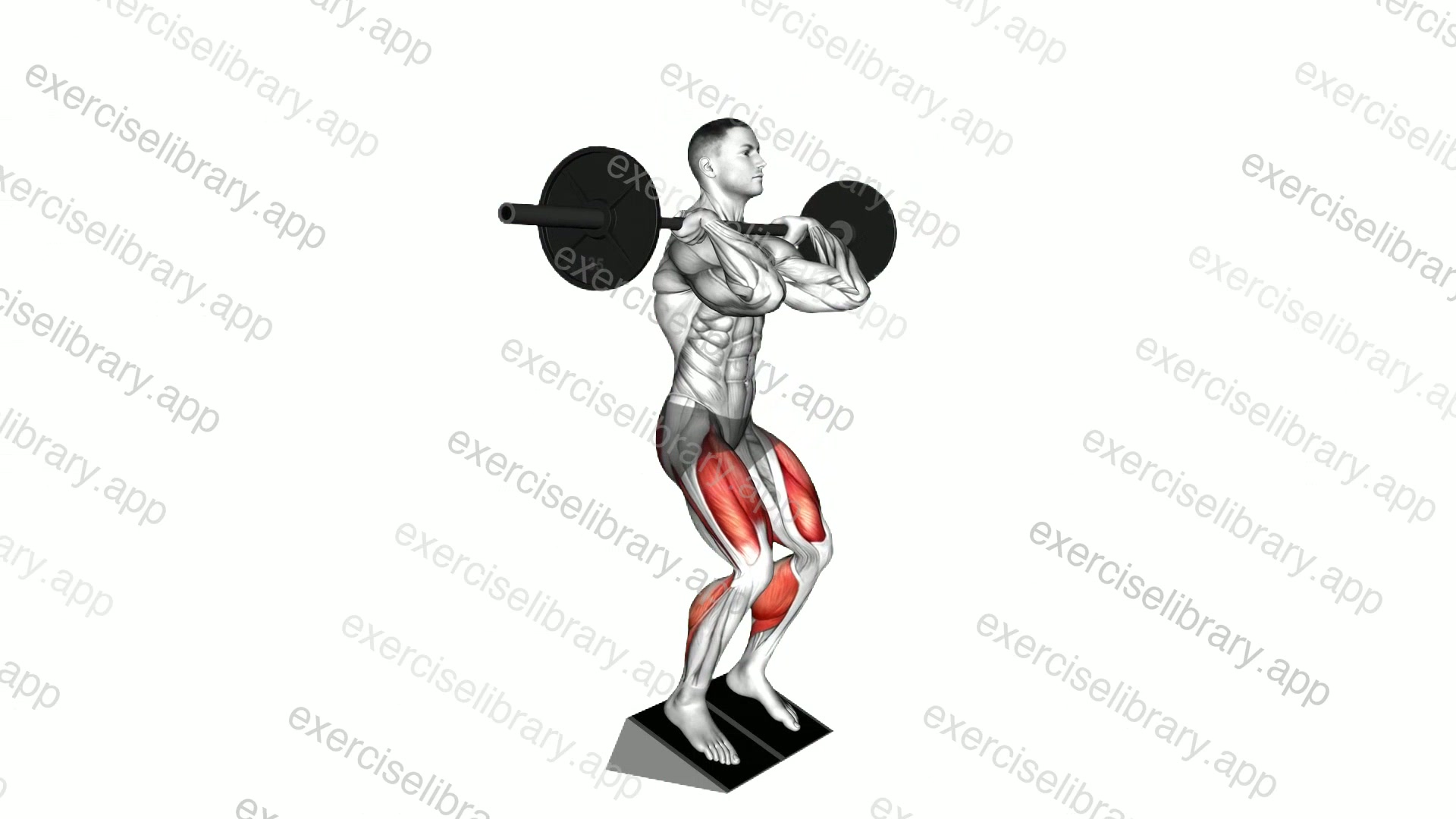 Barbell Elevated Heel Clean Grip Squat demonstration