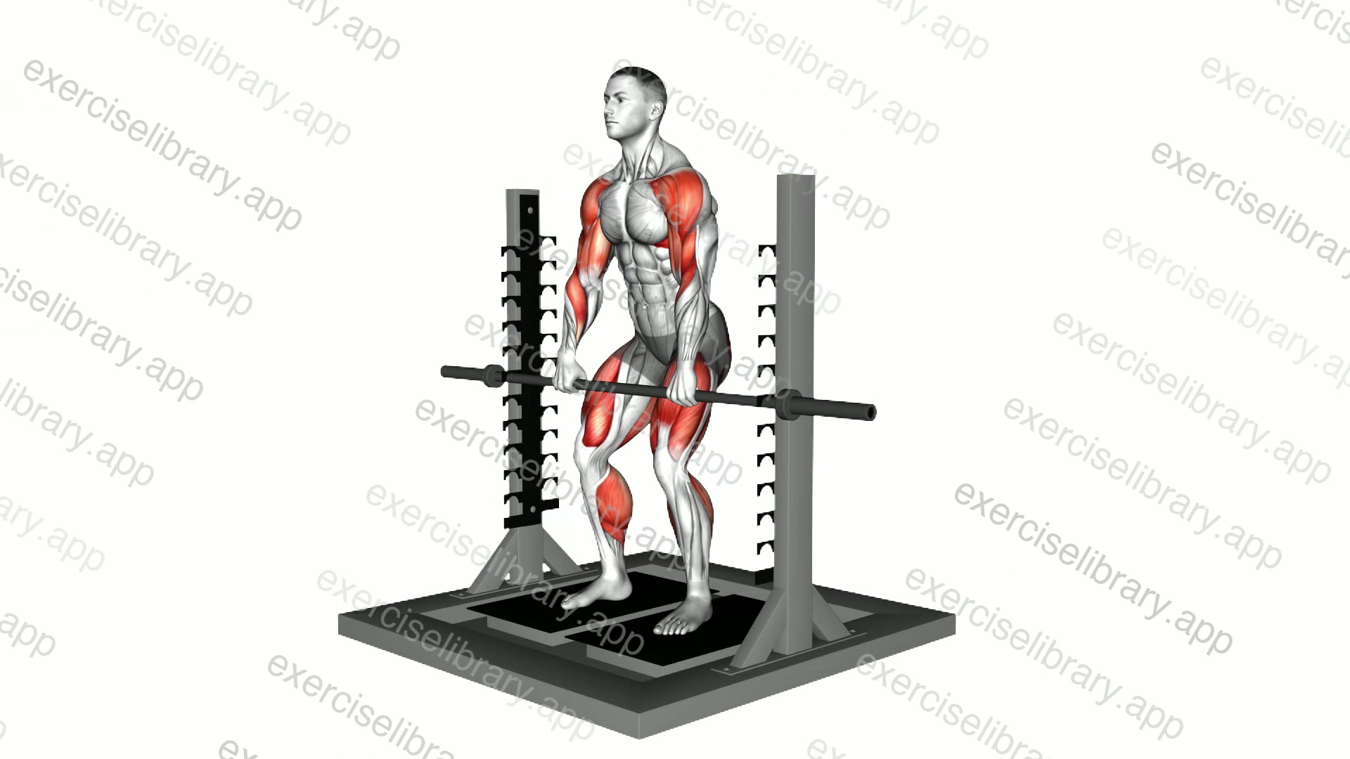 Isometric Mid Thighs Pull demonstration