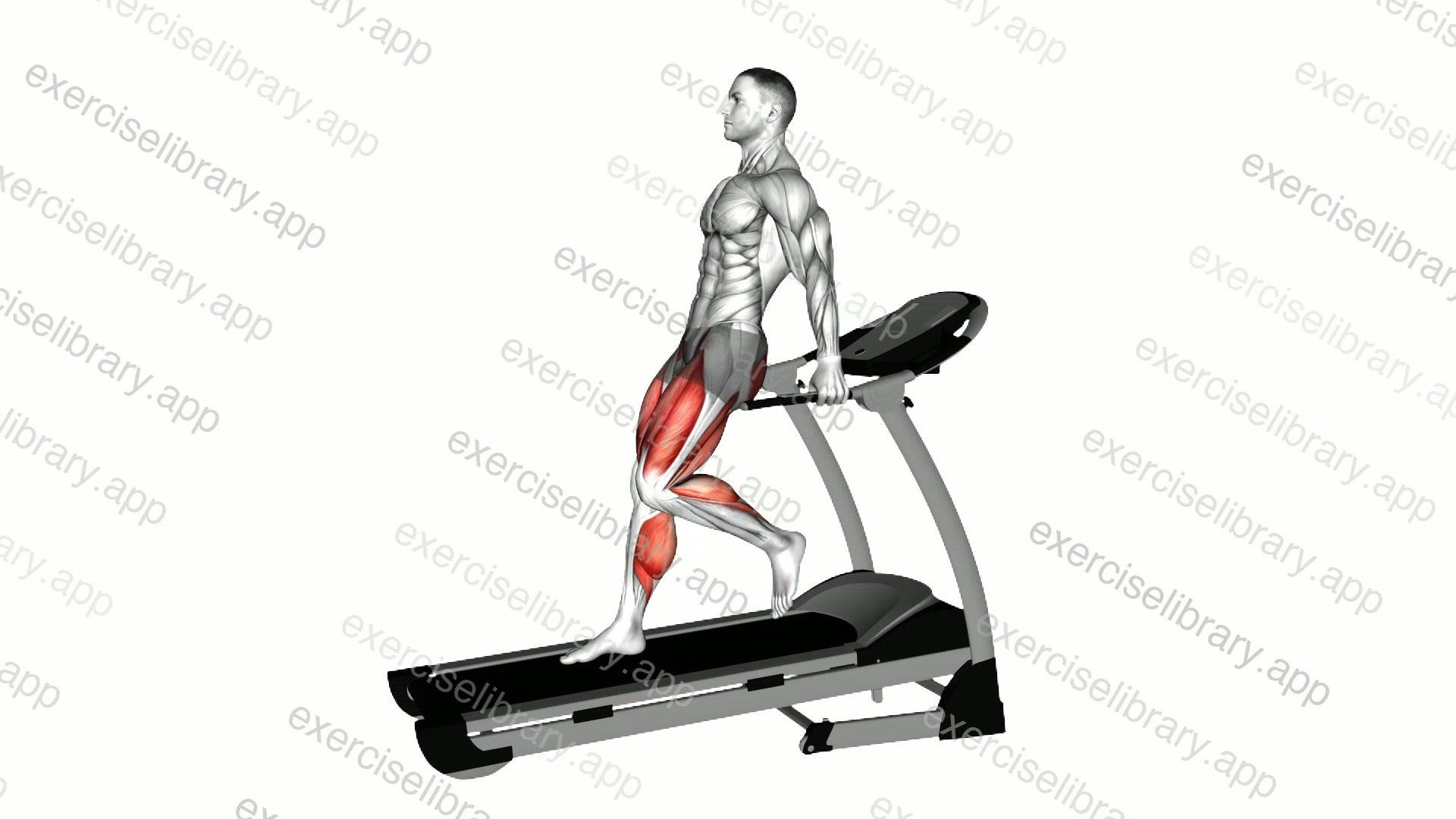 Walking Backward on a Treadmill demonstration