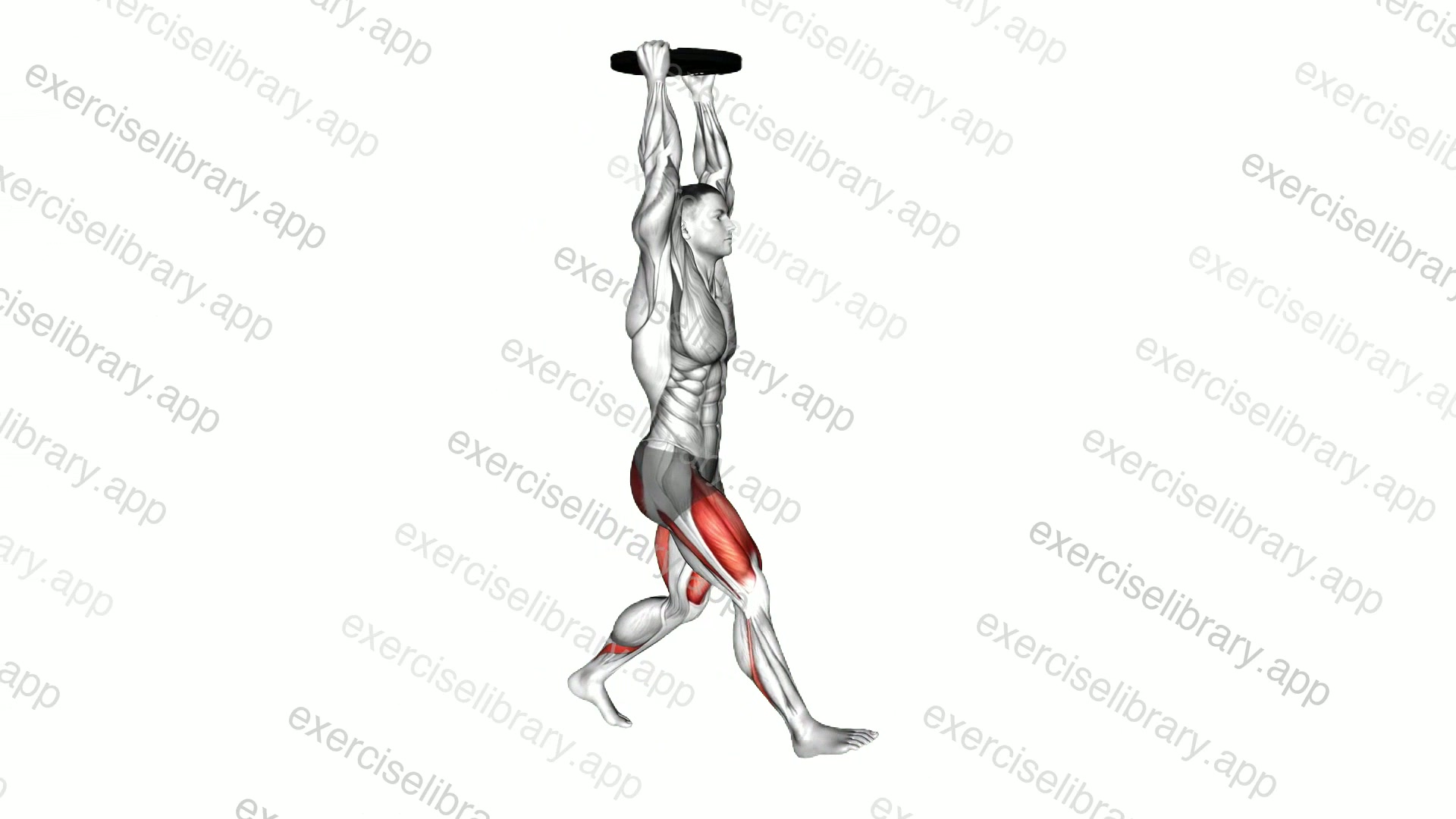 Weighted Plate Overhead Forward Lunge demonstration