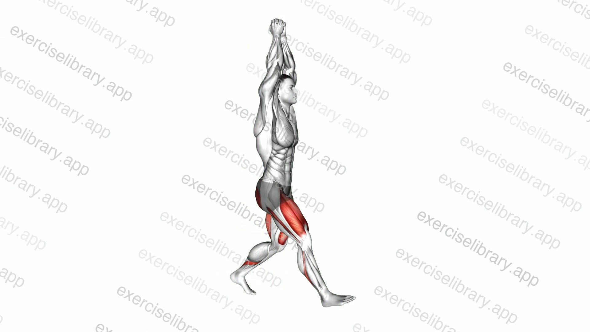 Bodyweight Overhead Forward Lunge demonstration