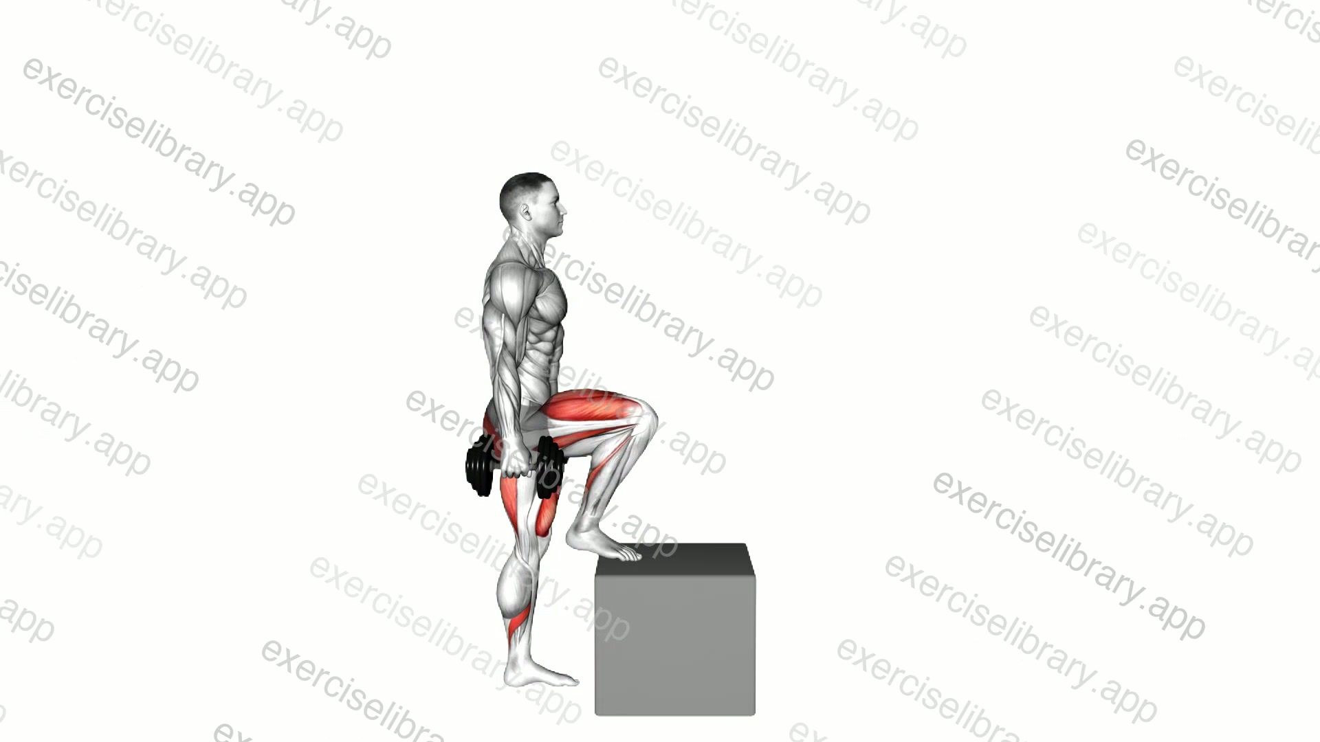 Dumbbell Step over Box demonstration