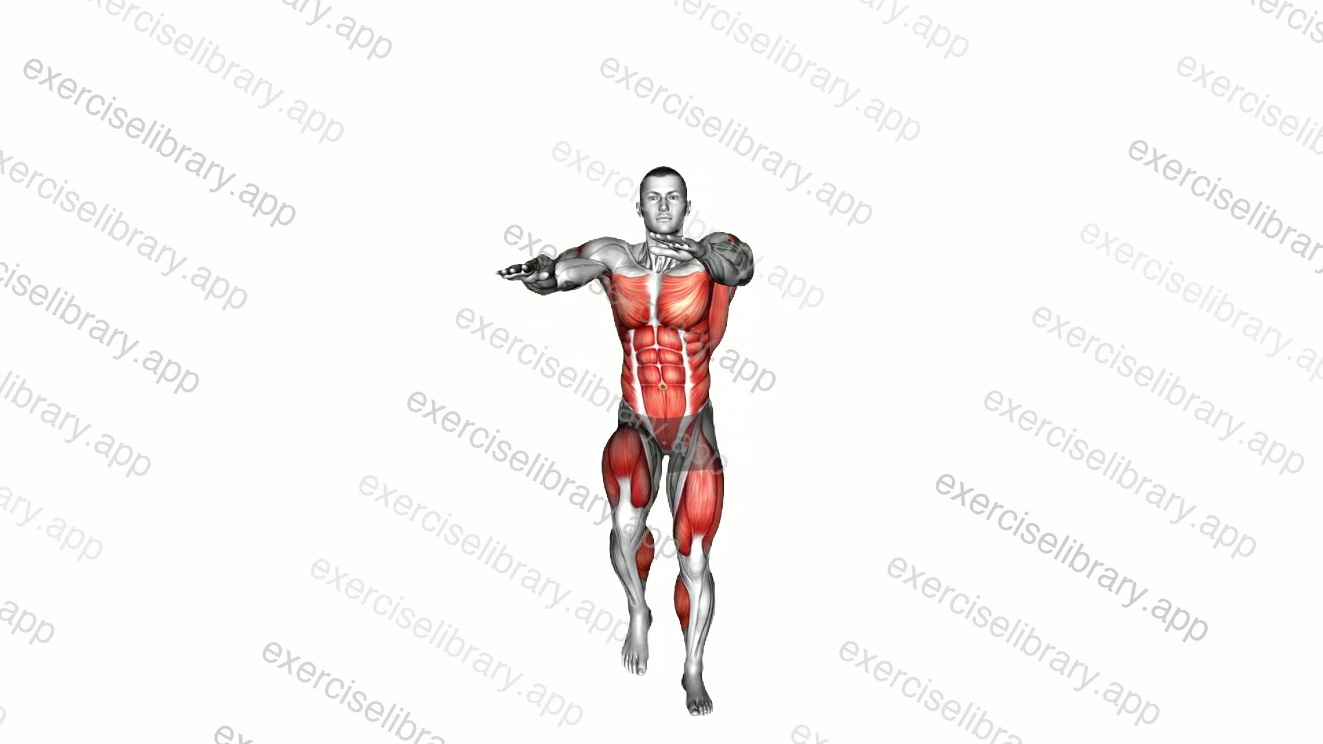 Walking Knee Raise Sky Reach On Spot demonstration