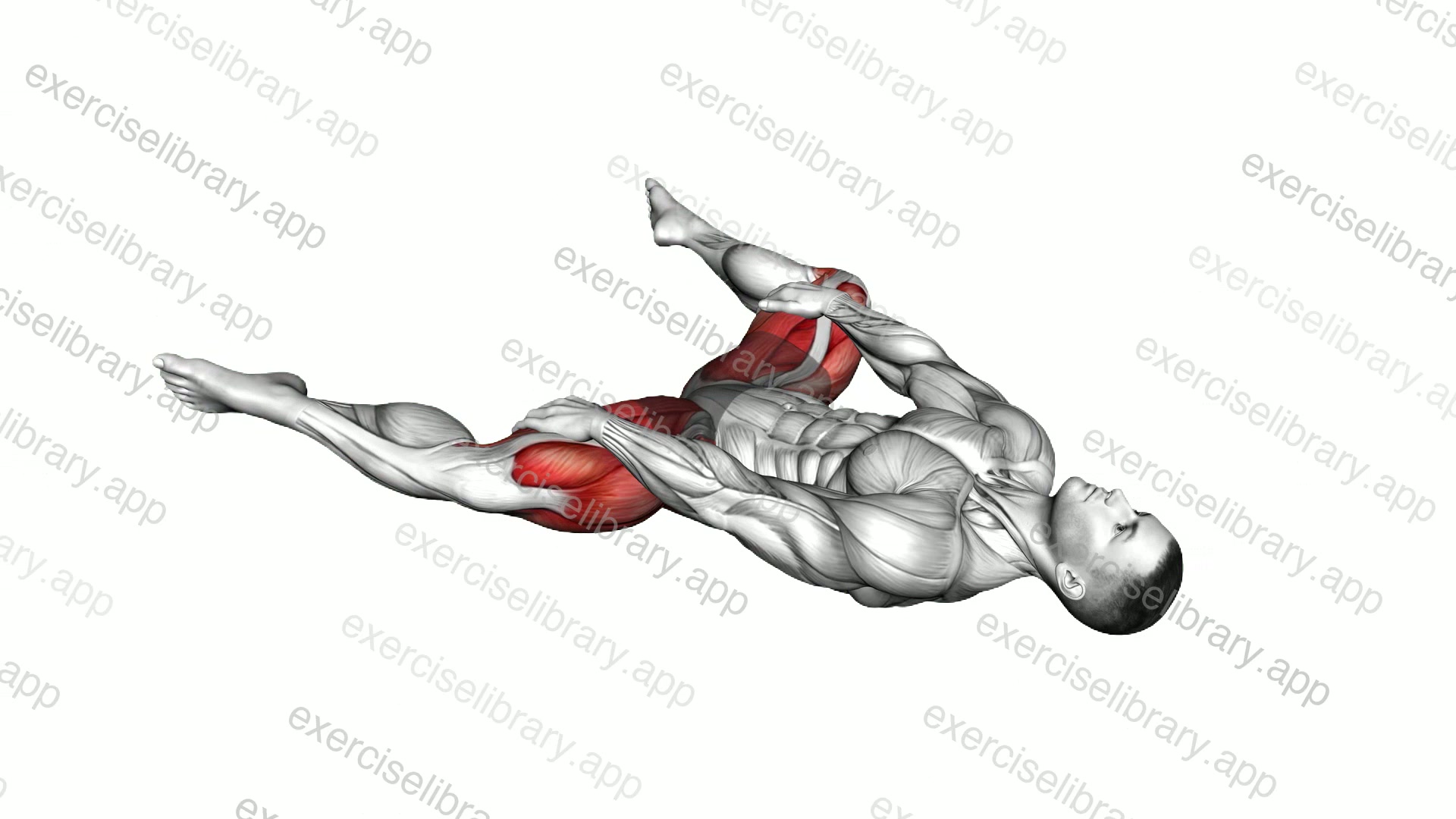Lying Split Abductor demonstration