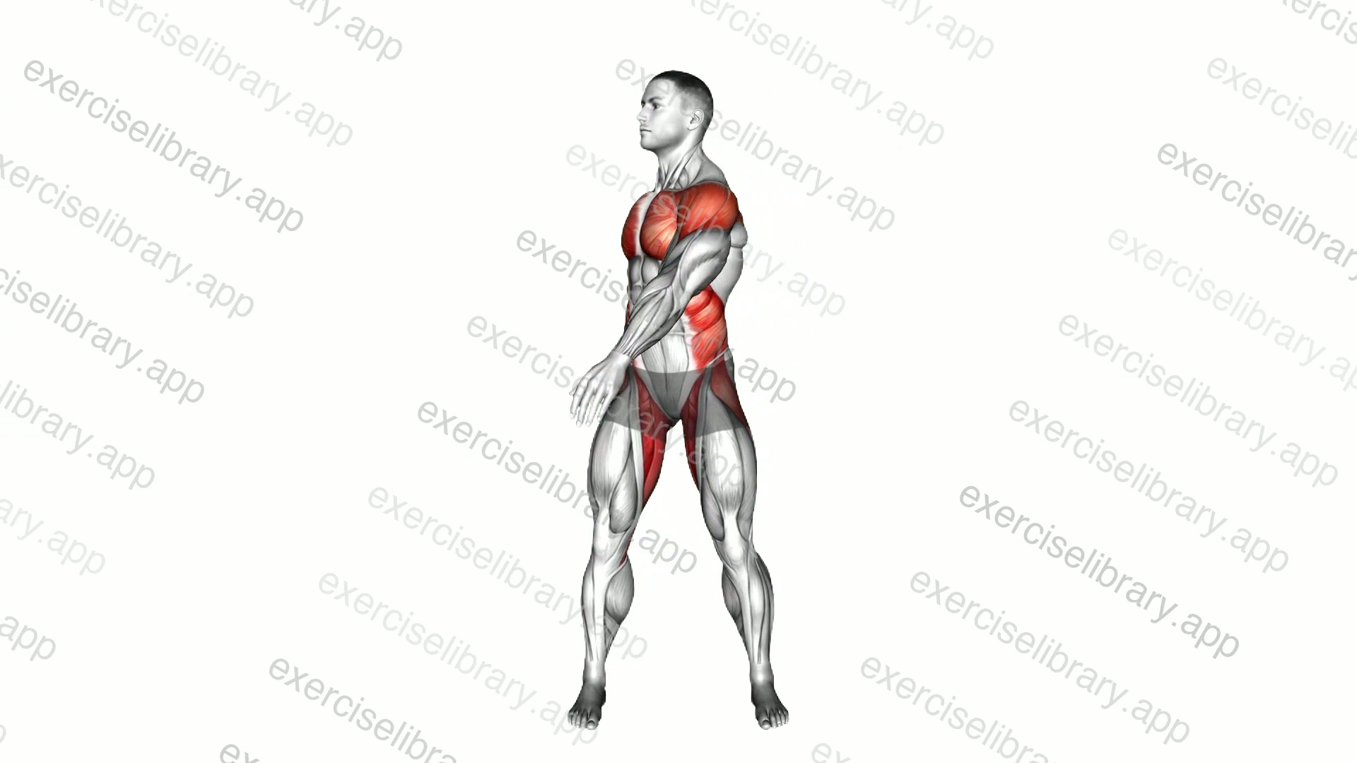 Standing Torso Twist Arms Swing demonstration