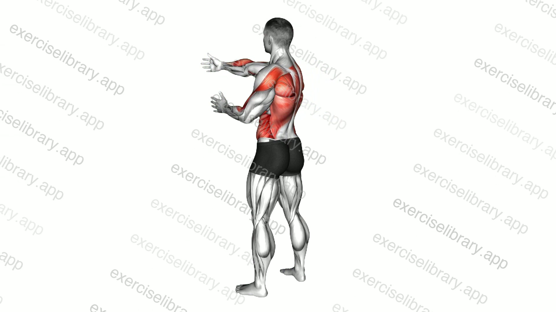 Standing Archer Alternate Arm Row demonstration