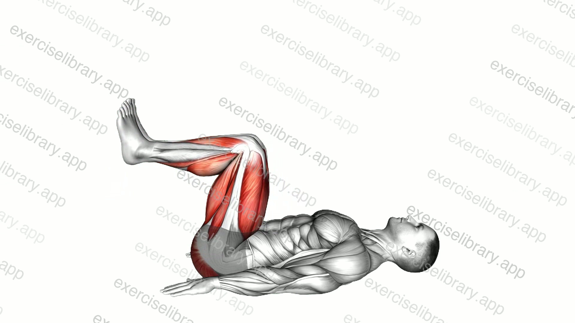 Lying Legs Extension Toes Flexion demonstration