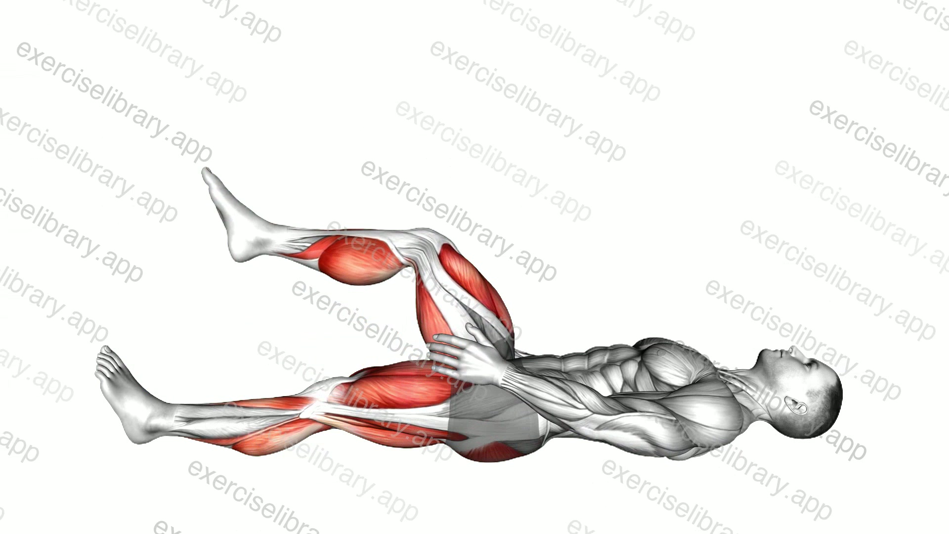 Lying Alternating Legs Extension demonstration