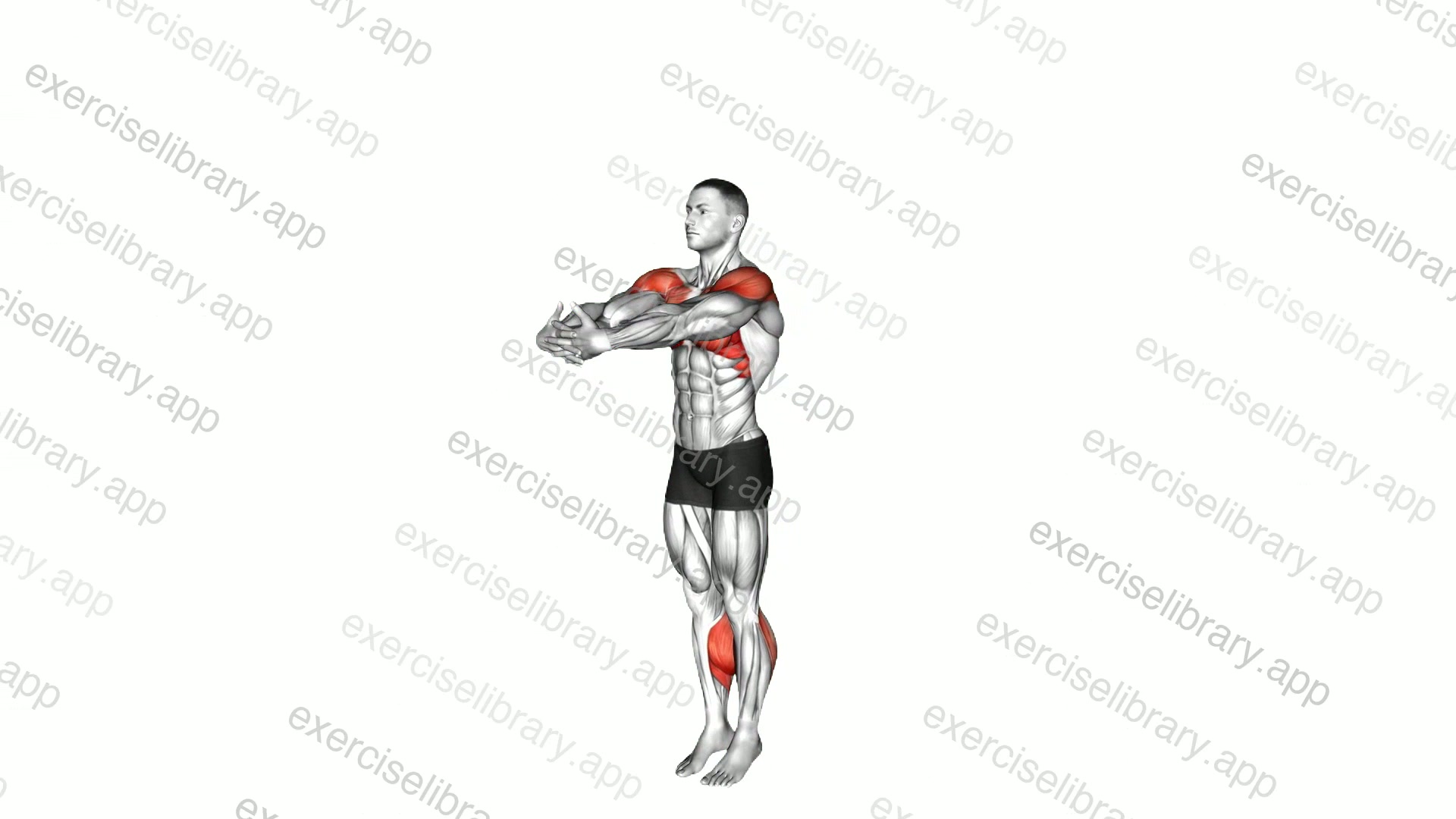 Standing Calf Raise with Arms Circle demonstration
