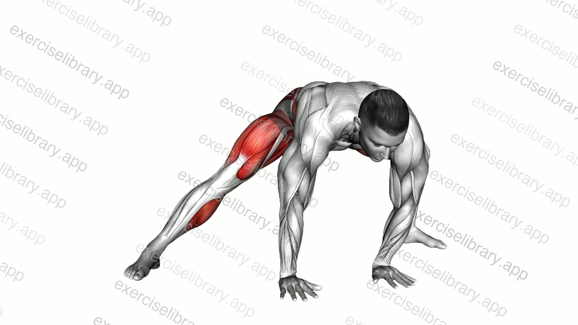 Leaning Forward Side Lunge demonstration