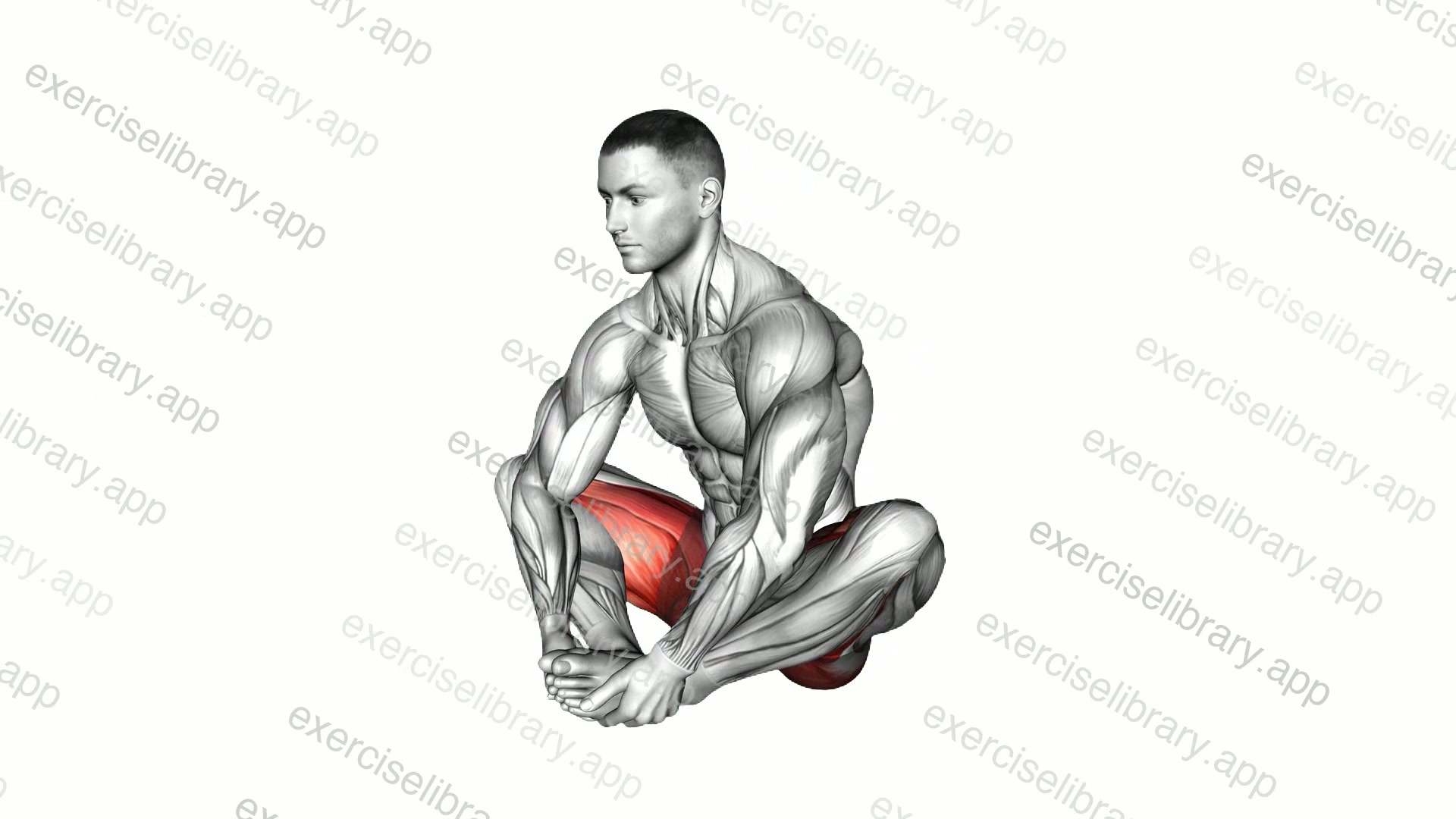 Butterfly Forward Leaning demonstration