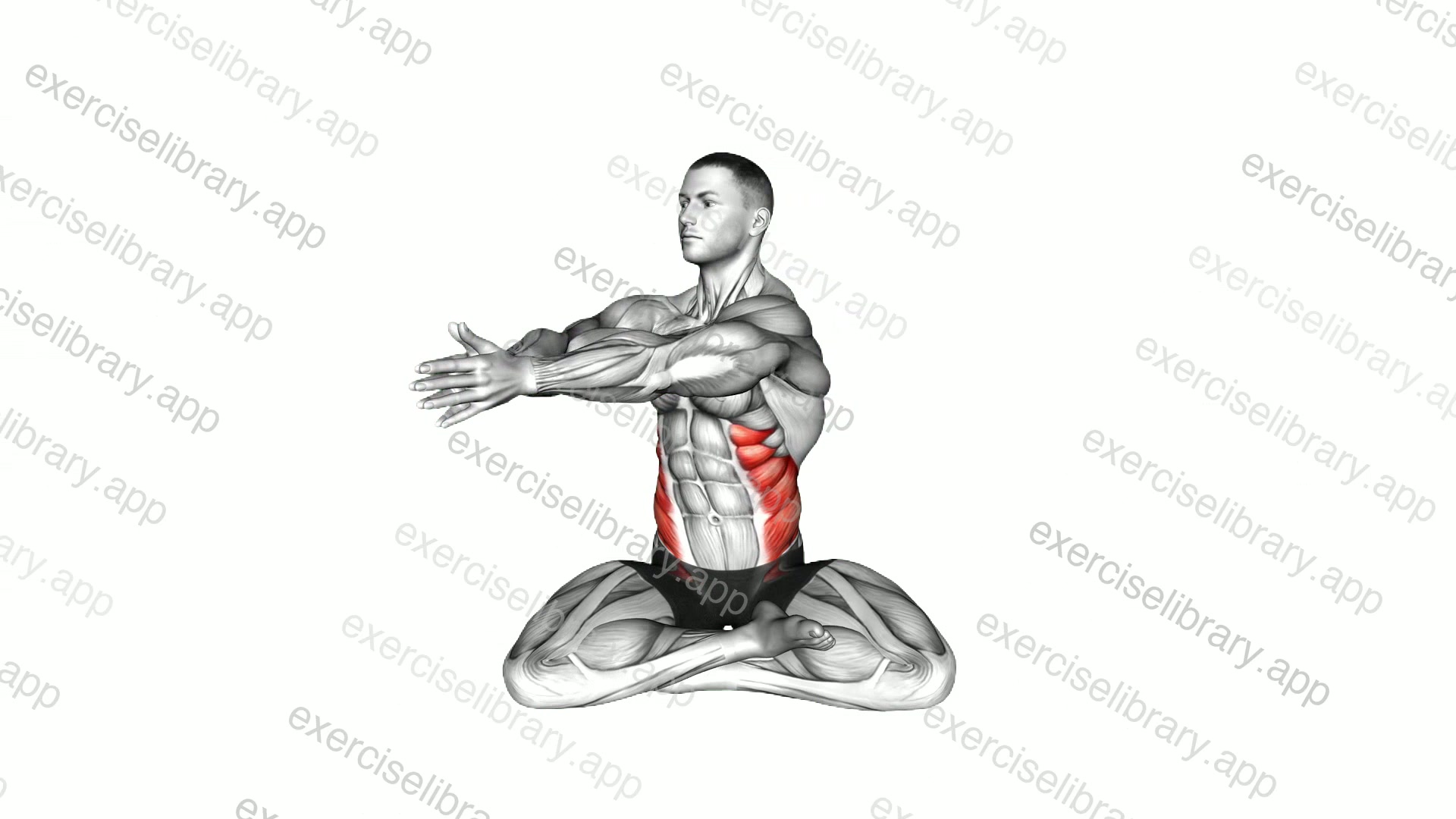 Sitting Abs Twist demonstration