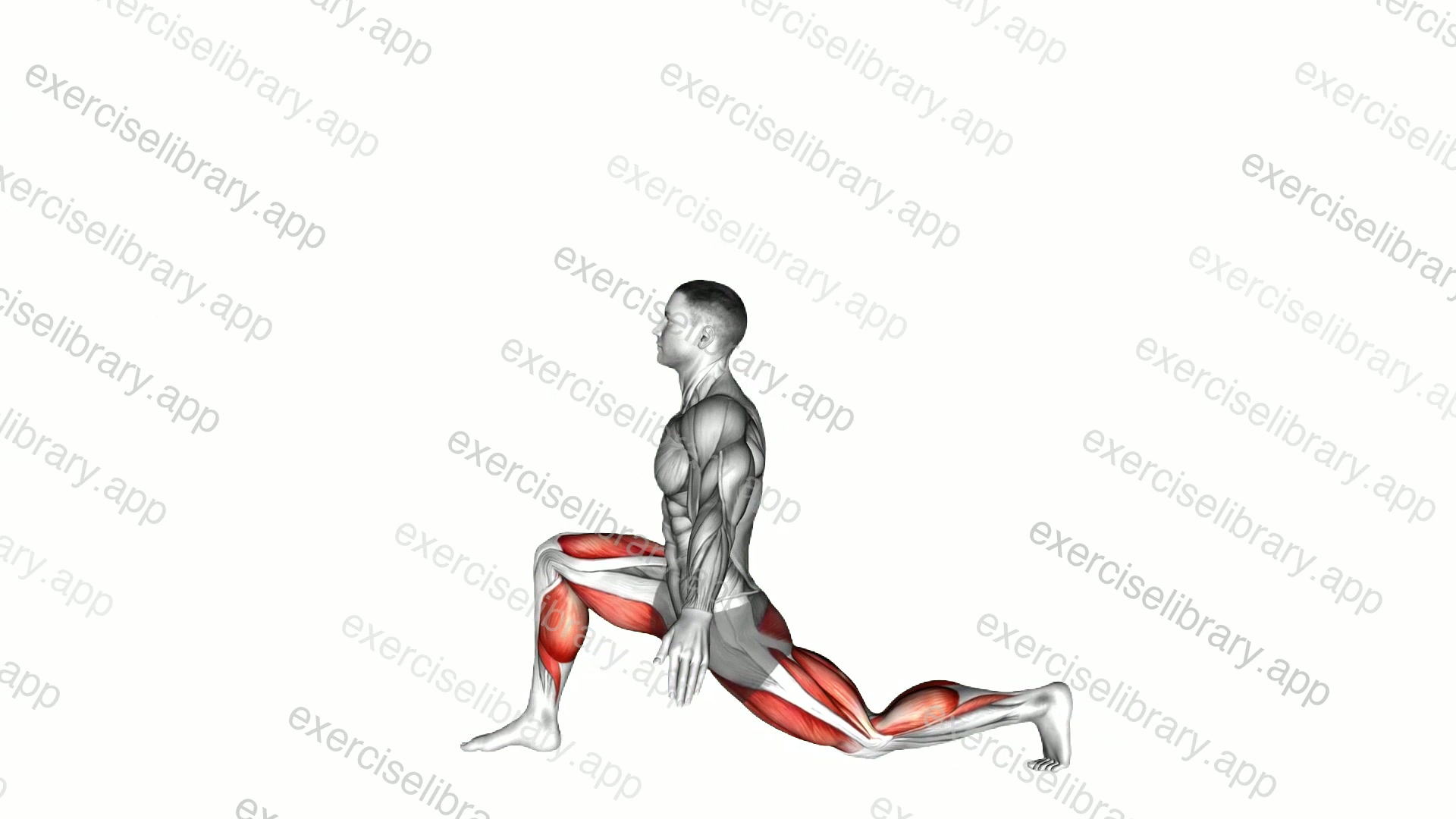 Low to High Lunge Pose demonstration