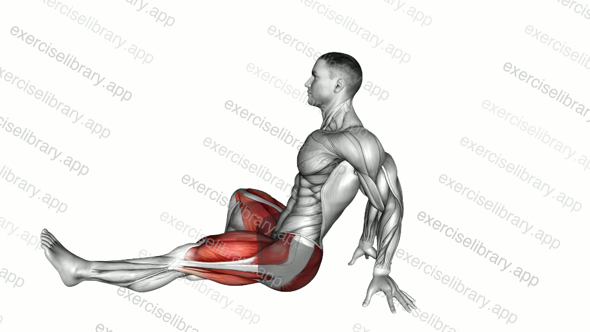 Sitting Legs Extended to Butterfly Stretch demonstration