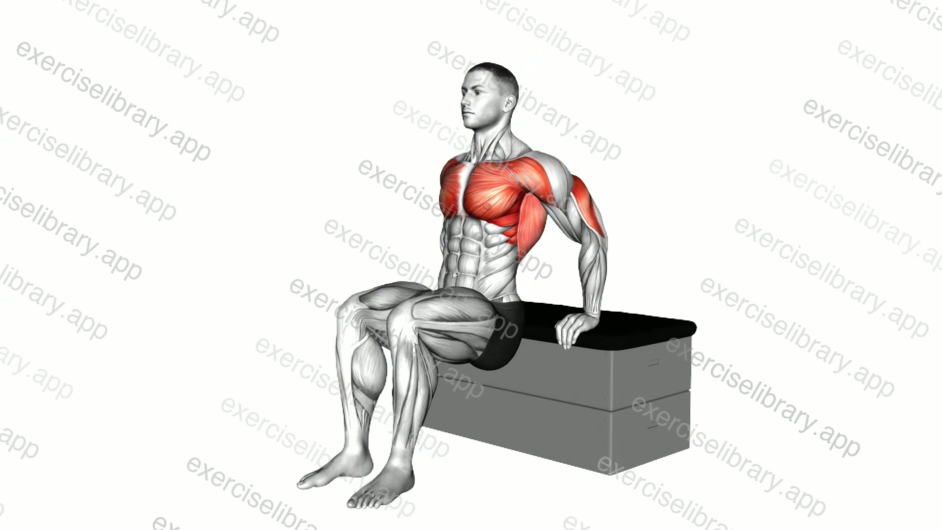 Dip a padded stool Supported demonstration