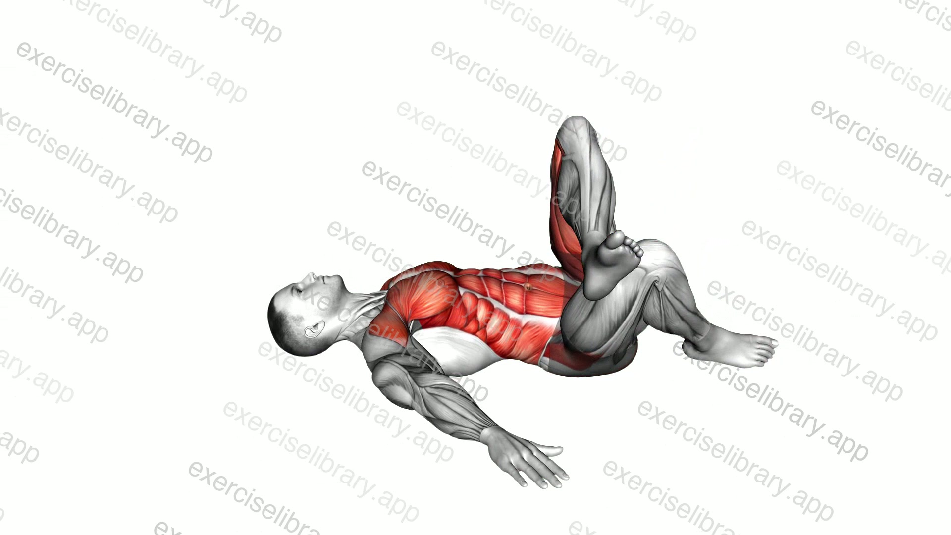 Lying Figure 4 Twisting Torso Stretch demonstration
