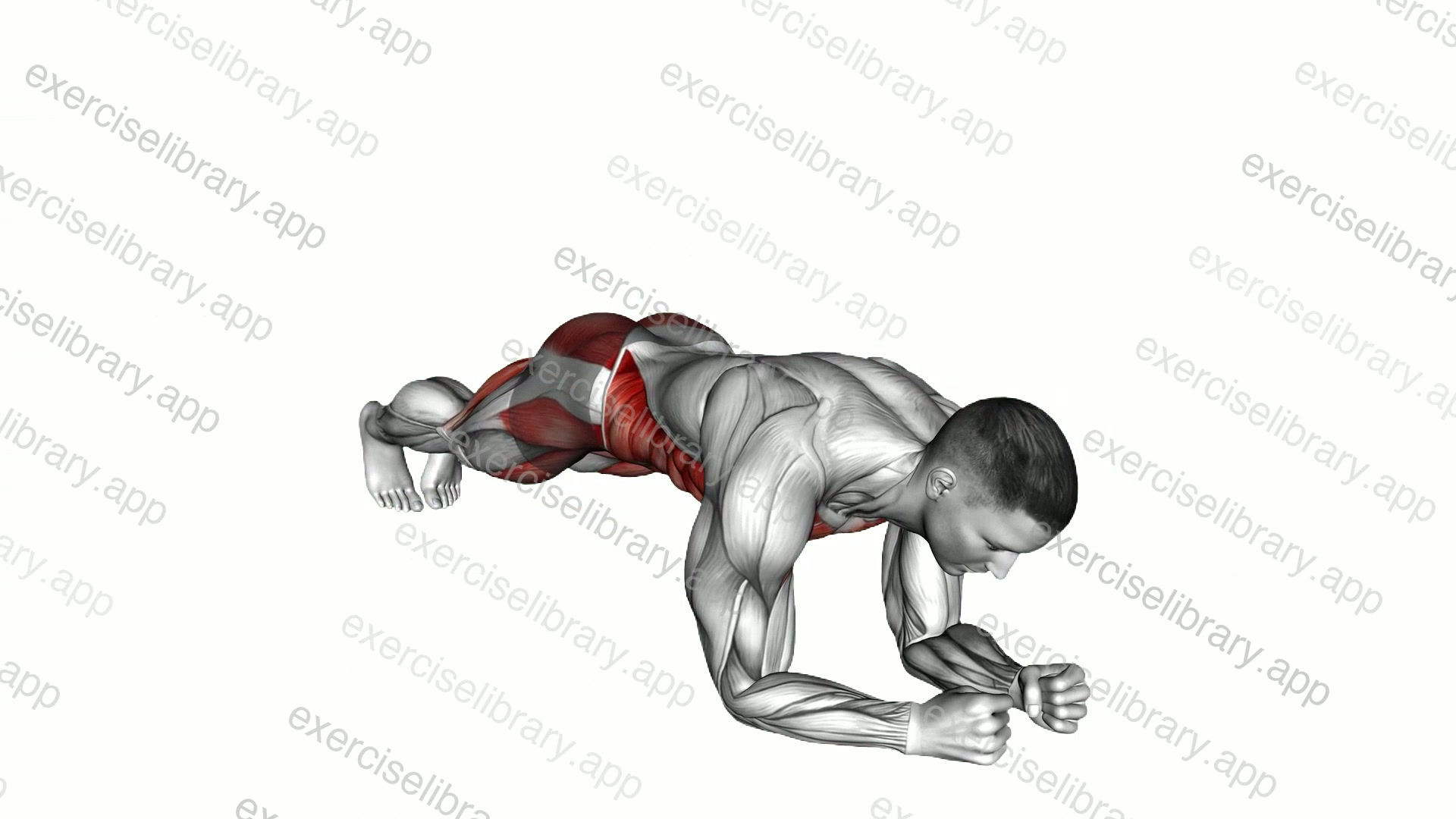 Plank Side Jump demonstration