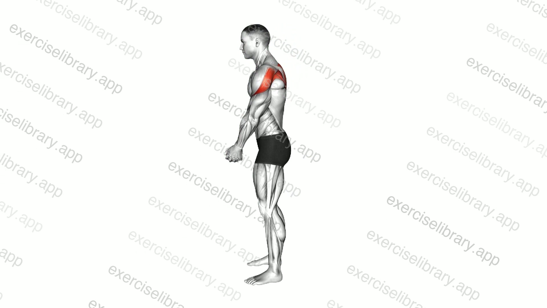 Clasp Hands Shoulder Forward Roll demonstration